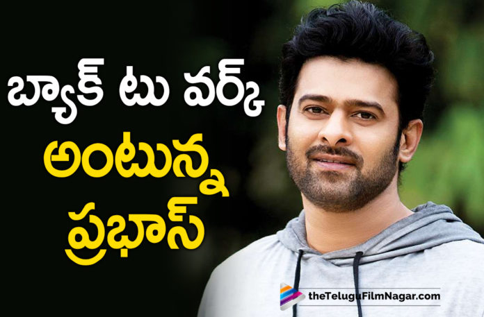 Rebel Star Prabhas All Set To Get Back To Salaar Movie Sets Soon,Telugu Filmnagar,Latest Telugu Movies News,Telugu Film News 2021,Tollywood Movie Updates,Latest Tollywood News,Rebel Star Prabhas,Prabhas,Salaar,Salaar Movie,Salaar Telugu Movie,Salaar Updates,Salaar Movie News,Salaar Telugu Movie Updates,Rebel Star Prabhas,Salaar Movie Sets,Salaar Movie Latest Update,Prabhas,Shruti Haasan,Prashanth Neel,Salaar Telugu Movie Updates,Prabhas Salaar Movie,Prabhas Salaar,Prabhas,Salaar Prabhas Movie,Prashanth Neel,Salaar Prabhas,Salaar Movie Prabhas,Salaar Prabhas New Movie,#Salaar,Prashanth Neel Next Movie,Prabhas New Movie Salaar,Prabhas And Prashanth Neel Movie,Shruti Haasan,Salar,Salaar Teaser,Salar Updates,Rebel Star Prabhas All Set To Get Back To Salaar Movie Sets,Prabhas All Set To Get Back To Salaar Movie Sets Soon,Prabhas Salaar Movie Shooting