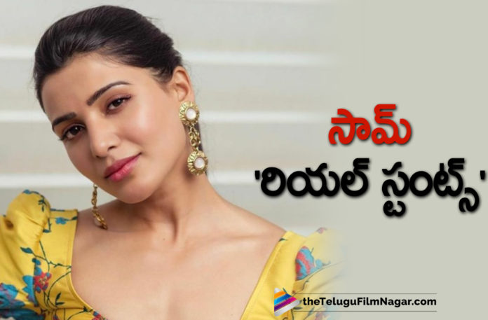 Samantha Akkineni Shares A Glimpse Of Her Real Stunts She Has Done For The Family Man 2 Web Series,Actress Samantha Akkineni, Heroine Samantha Akkineni, latest telugu movies news, samantha akkineni, Samantha Akkineni Emotional Note About Her Character Raji From The Family Man Season 2 Webseries, Samantha Akkineni Latest News, Samantha Akkineni Project Details Cards, Samantha Akkineni Upcoming Movie Details, Samantha’s Fierce Stunt Training For The Family Man 2 Gives You Needed Motivation, Telugu Film News 2021, Telugu Filmnagar, Tollywood Latest News, Tollywood Movie Updates