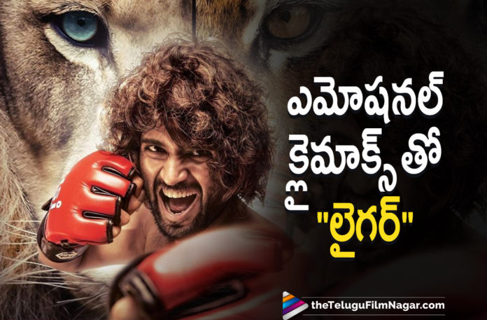 Vijay Deverakonda Upcoming Movie Liger To Have An Emotional Climax,Telugu Filmnagar,Latest Telugu Movies News,Telugu Film News 2021,Tollywood Movie Updates,Latest Tollywood News,Liger,Liger Movie,Liger Telugu Movie,Liger Movie Updates,Liger Telugu Movie Latest News,Liger Movie Shooting Updates,Liger Telugu Movie Shooting Latest News,Vijay Deverakonda Upcoming Movie Liger