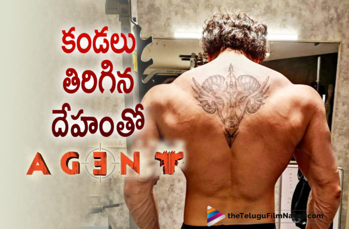 Akkineni Akhil Looks Macho In Agent Movie First Look Poster,Agent Shooting Begins,Agent Movie Shooting Begins,Shooting Of Akhil Akkineni Film Agent Begins,Agent Shoot Begins,Agent Movie Shoot Begins,Akhil's AGENT Shoot Begins,AGENT New Poster Released,Agent First Look,Agent Movie First Look,Akhil New Poster From Agent,AGENT Shoot Begins,Akhil Akkineni's AGENT Shoot Begins,Akhil New Movie First Look,Akhil New Movie Agent First Look,Akhil Agent Movie First Look,Agent,Akhil Akkineni,Akhil Akkineni Latest Movies,Surender Reddy,Telugu Filmnagar,Latest Telugu Movies 2021,Telugu Film News,Tollywood Movie Updates,Latest Tollywood News,AGENT,Agent Movie,Agent Film,Agent Telugu Movie,Agent Movie Update,Agent Movie News,Akhil Agent,Agent Akhil,Akhil New Movie,Akhil Latest Movie,Agent Look,Akhil,Akhil Akkineni Agent,Surender Reddy Latest Movie,Agent Movie Akhil,Agent Movie Latest Upates,Agent Movie Latest News,Agent Movie Shooting,Agent Movie Shooting Updates,Agent Movie Shoot,Agent Movie Latest,Agent Movie Shoot,Agent Shooting Work Begins,Akhil Agent Shooting Work Begins,Akhil Agent Shooting Begins,Akhil New Movie Shoot,Akhil Agent Poster,Agent Shooting,#AGENT