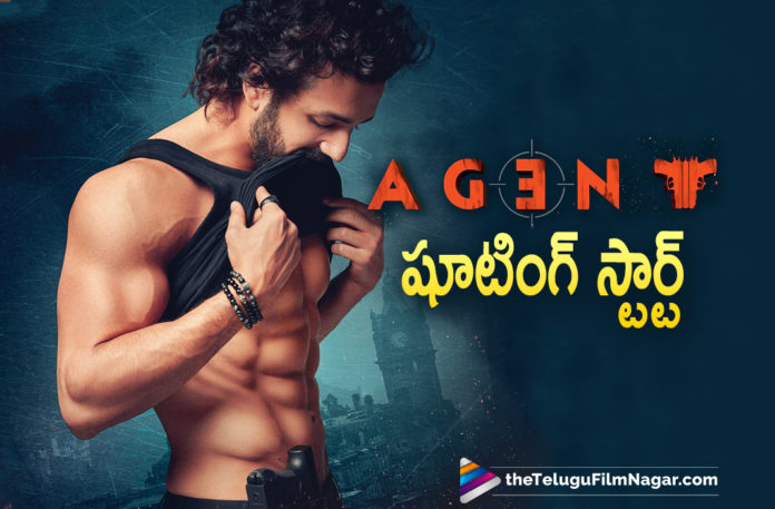 Akkineni Akhil New Movie Agent Shooting Work Begins,Agent Shooting Begins,Agent Movie Shooting Begins,Shooting Of Akhil Akkineni Film Agent Begins,Agent Shoot Begins,Agent Movie Shoot Begins,Akhil's AGENT Shoot Begins,AGENT New Poster Released,Agent New Poster,Agent Movie New Poster,Akhil New Poster From Agent,AGENT Shoot Begins,Akhil Akkineni's AGENT Shoot Begins,Akhil New Movie Agent,Akhil New Movie Agent Poster,Akhil Agent Movie Poster,Agent,Akhil Akkineni,Akhil Akkineni Latest Movies,Surender Reddy,Telugu Filmnagar,Latest Telugu Movies 2021,Telugu Film News,Tollywood Movie Updates,Latest Tollywood News,AGENT,Agent Movie,Agent Film,Agent Telugu Movie,Agent Movie Update,Agent Movie News,Akhil Agent,Agent Akhil,Akhil New Movie,Akhil Latest Movie,Agent Look,Akhil,Akhil Akkineni Agent,Surender Reddy Latest Movie,Agent Movie Akhil,Agent Movie Latest Upates,Agent Movie Latest News,Agent Movie Shooting,Agent Movie Shooting Updates,Agent Movie Shoot,Agent Movie Latest,Agent Movie Shoot,Agent Shooting Work Begins,Akhil Agent Shooting Work Begins,Akhil Agent Shooting Begins,Akhil New Movie Shoot,Akhil Agent Poster,Agent Shooting,#AGENT