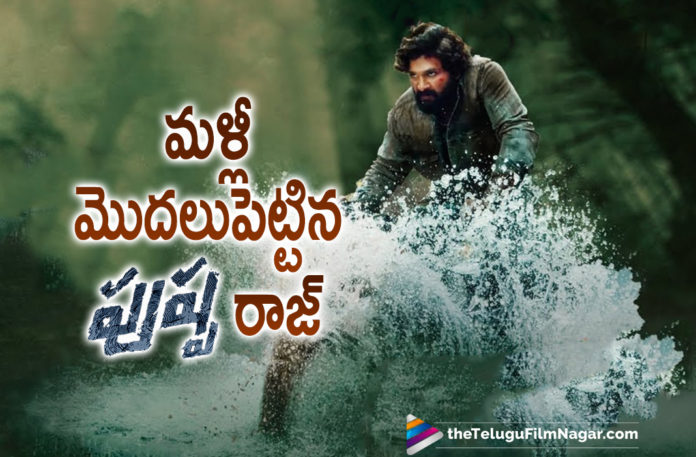 Icon Star Allu Arjun Starrer Pushpa Movie Team To Get Back To Movie Sets Today Post Lockdown,Telugu Filmnagar,Latest Telugu Movies 2021,Tollywood Movie Updates,Latest Tollywood News,Director Sukumar,Sukumar,Sukumar Movies,Sukumar New Movie,Allu Arjun,Allu Arjun Movies,Allu Arjun Latest News,Allu Arjun Next Movie,Icon Staar Allu Arjun,Allu Arjun Latest News,Allu Arjun Movie Updates,Pushpa Raj,Pushpa,Pushpa Movie,Pushpa Telugu Movie,Pushpa Updates,Pushpa Movie Updates,Pushpa Telugu Movie Updates,Pushpa Movie News,Pushpa Sond,Pushpa Movie Songs,Allu Arjun Pushpa,Allu Arjun Pushpa Movie Sets,Allu Arjun Pushpa Movie Shoot,Rashmika Mandanna,Allu Arjun Rashmika Mandanna Movie,Sukumar Latest News,Pushpa Shooting Update,Pushpa Pushpa Raj,Pushpa Movie Team To Get Back To Movie Sets,Pushpa Team Back To Movie Sets,Allu Arjun Pushpa Team Back To Movie Sets Today,Pushpa Team Resume Shooting,Allu Arjun Set To Resume Shooting For Pushpa,Pushpa Movie Team Is Back On Sets,Pushpa Movie Shooting,Pushpa Movie Shooting Update,#Pushpa