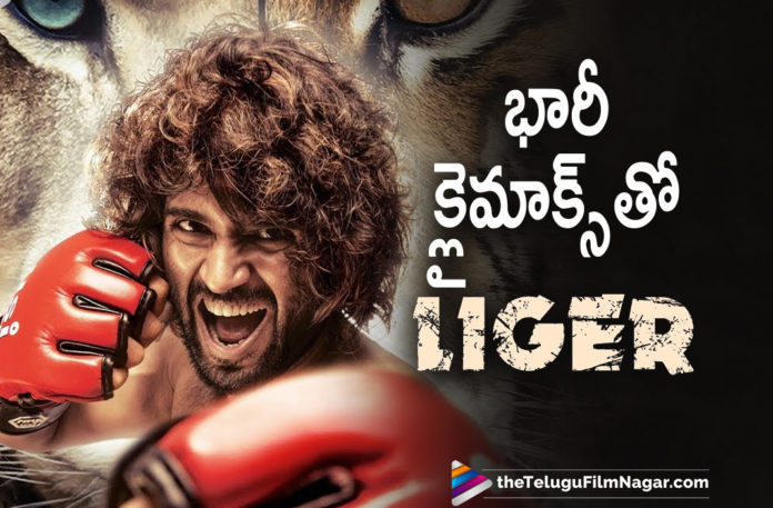 Liger Movie Team Plans To Shoot Climax Scenes With A Huge Cast On A Massive Scale,Telugu Filmnagar,Latest Telugu Movies News,Telugu Film News 2021,Tollywood Movie Updates,Latest Tollywood News,Liger,Liger Movie,Liger Telugu Movie,Liger Updates,Liger Movie Updates,Liger Telugu Movie Updates,Liger Movie Latest Updates,Liger Movie Latest News,Liger Telugu Movie Shooting,Liger Shoot,Liger Movie Shooting,Liger Movie Shooting Updates,Vijay Deverakonda's Liger,Vijay Deverakonda,Actor Vijay Deverakonda,Hero Vijay Deverakonda,Vijay Deverakonda Latest News,Vijay Deverakonda New Movie,Vijay Deverakonda Latest Movie,Vijay Deverakonda Liger Movie Shooting,Liger Movie Climax Scenes,Liger Climax Scenes,Liger Climax Scenes Shoot,Liger Movie Climax Scenes Shooting,Vijay Deverakondas Liger Shooting Restarts Soon Mumbai,Liger Movie Shoot,Vijay Devarakonda Liger Climax Scene Update,Vijay Devarakonda Liger Climax Scene,Vijay Devarakonda Liger Climax Scene News,Liger Climax Scene,#Liger
