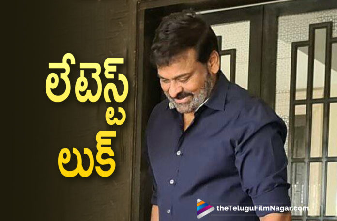 Megastar Chiranjeevi New Look Attracts Netizens Attention,Telugu Filmnagar,Latest Telugu Movies News,Telugu Film News 2021,Tollywood Movie Updates,Latest Tollywood News,Tollywood Actor Chiranjeevi Latest Still Goes Viral,Actor Chiranjeevi Latest Still Goes Viral,Chiranjeevi Latest Still Goes Viral,Megastar Chiranjeevi New Look,Chiranjeevi New Look,Chiranjeevi New Look Goes Viral,Chiru New Still,Megastar Chiranjeevi New Still,Chiranjeevi New Still,Chiranjeevi New Still Goes Viral,Chiranjeevi Latest Still,Chiranjeevi Latest Photo,Chiranjeevi Latest Picture,Chiranjeevi New Pics,Chiranjeevi Latest Photoshoot,Chiranjeevi Latest News,Chiranjeevi Movie Updates,Chiranjeevi Movie News,Chiranjeevi Updates,Megastar Chiranjeevi,Chiranjeevi,Actor Chiranjeevi,Hero Chiranjeevi,Chiranjeevi Movies,Chiranjeevi New Movie,Chiranjeevi Latest Movie,Chiranjeevi New Movies,Chiranjeevi Acharya,Chiranjeevi New Movie Updates,Chiranjeevi Latest Movie Updates,Chiranjeevi Upcoming Movies,Chiranjeevi Upcoming Movie,Chiranjeevi Next Movie,Chiranjeevi Next Project