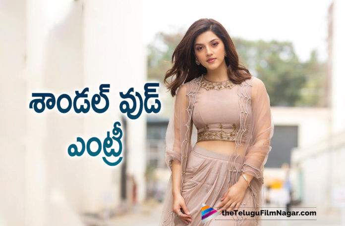 Mehreen Pirzada To Make Her Debut in Sandalwood Soon,Telugu Filmnagar,Latest Telugu Movies News,Telugu Film News 2021,Tollywood Movie Updates,Latest Tollywood News,Mehreen Pirzada,Actress Mehreen Pirzada,Heroine Mehreen Pirzada,Mehreen Pirzada Movies,Mehreen Pirzada New Movie,Mehreen Pirzada Latest Movie,Mehreen Pirzada New Movie News,Mehreen Pirzada Upcoming Movie Updates,Mehreen Pirzada Mehreen Pirzada Debut In Sandalwood Soon,Mehreen Pirzada Sandalwood Debut,Mehreen Pirzada Sandalwood Debut Movie,Mehreen Pirzada New Movies,Mehreen Pirzada Upcoming Movies,Mehreen Pirzada New Move Update,Mehreen Pirzada Latest Movie Update,Mehreen Pirzada Latest Film Update,Mehreen Pirzada Movie Updates,Mehreen Pirzada Movie News,Mehreen Pirzada Upcoming Movie Details,Mehreen Pirzada New Movie Details,Mehreen Pirzada Latest Movie Detils,Mehreen Pirzada Sandalwood Movie,Mehreen Pirzada To Make Her Debut In Sandalwood,Mehreen Doing Kannada Movie,Mehreen Pirzada Kannada Movie,Mehreen Pirzada Kannada Film