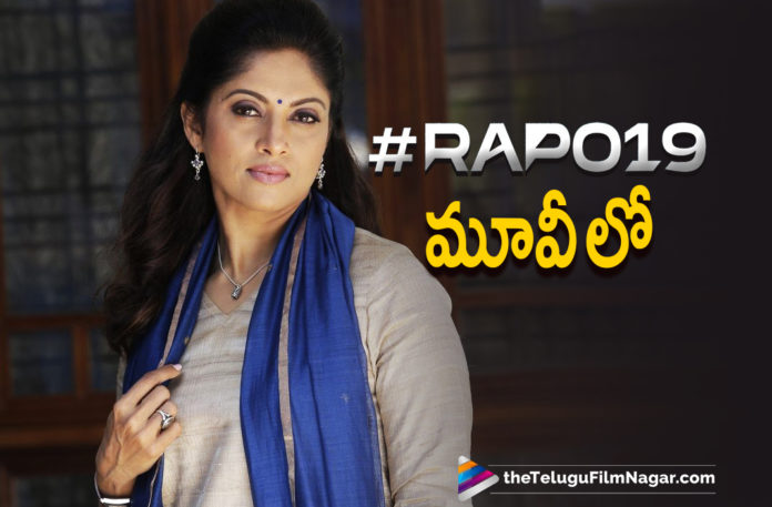 Senior Actress Nadiya To Play A Key Role In Ram Pothineni Latest Movie RAPO19,Nadiya In RAPO19 Movie,Nadiya,Actress Nadiya,Nadiya New Movie,Nadiya Latest Movie,Nadiya Telugu Movie,Nadiya In Ram Pothineni And Lingusamy Movie,Nadiya In RaPo19,Nadiya In Ram And Linguswamy Project,Ram Pothineni And Lingusamy,Ram Pothineni And Lingusamy RaPo19,Telugu Filmnagar,Tollywood Movie Updates,Latest Tollywood News,Ram Pothineni,Ram Pothineni Movies,Ram Pothineni New Movie,Ram Pothineni And Lingusamy Movie,Ram Pothineni Lingusamy Movie Update,Ram Pothineni And Lingusamy Movie,RaPo19,RAPO19 Movie,RAPO19 Movie Updates,RAPO19,RAPO19 Latest Updtes,RAPO19 Telugu Movie,Lingusamy,Ram Pothineni's RAPO19 Movie,Ram Pothineni Latest News,Ram Pothineni Movie News,Ram Pothineni Movie Updates,RAPO19 Movie Shoot,RAPO19 New Update,Ram Lingusamy Movie,Nadiya In Ram Lingusamy Movie,Nadiya Latest News,Actress Nadiya In Ram Pothineni Latest Movie RAPO19,Linguswamy Has Revealed Actress Nadhiya Look,Nadhiya Look From Ram Pothineni RAPO19,Nadhiya Look From RAPO19,Senior Actress Nadhiya New Look Form RAPO19,Nadhiya Look From RAPO 19 Movie,Actress Nadiya New Look,Nadiya Latest Look From RAPO19,#RAPO19