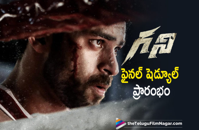 Varun Tej Upcoming Sports Drama Ghani Enters Its Last Leg Of Shooting Stage,Telugu Filmnagar,Latest Telugu Movies 2021,Telugu Film News,Tollywood Movie Updates,Latest Tollywood News,Varun Tej,Actor Varun Tej,Hero Varun Tej,Varun Tej Ghani,Ghani Varun Tej,Varun Tej Movies,Varun Tej New Movie,Varun Tej Latest Movie,Varun Tej Next Movies,Varun Tej Ghani Movie Update,Ghani,Ghani Movie,Ghani Telugu Movie,Ghani Film,Ghani Update,Ghani Movie Update,Ghani Movie Latest Updates,Ghani Movie News,Ghani Movie Latest News,Mega Prince Varun Tej,Upendra,Suniel Shetty,Saiee M Manjrekar,Larnell Stoval,Vlad Rimbur,Ghani Movie Boxing,Ghani Enters Its Last Leg Of Shooting Stage,Ghani Movie Shoot,Ghani Movie Shooting Updates,Ghani Shooting,Ghani Movie Shooting Latest News,Ghani Shooting New Update,Varun Tej Starts Shooting For Last Schedule Of Ghani,Varun Tej's Ghani Enters Final Schedule,Varun Tej's Ghani Final Schedule Shoot Begins,Varun Tej's Ghani Final Schedule Commences In Hyderabad,Varun Tej Ghani Final Schedule,Ghani Final Schedule,Varun Tej Ghani Movie New Schedule,#Ghani