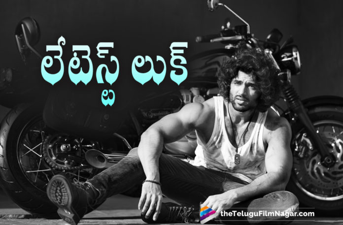 Vijay Deverakonda Latest Picture Goes Viral On Social Media,Telugu Filmnagar,Latest Telugu Movies News,Telugu Film News 2021,Tollywood Movie Updates,Latest Tollywood News,Vijay Devarakonda,Vijay Devarakonda Latest Movies,Vijay Devarakonda Latest Updates,Vijay Devarakonda Movies,Vijay Devarakonda New Movie,Vijay Devarakonda Latest Movie,Vijay Devarakonda New Movies,Vijay Devarakonda Upcoming Movies,Vijay Devarakonda Next Projets,Vijay Devarakonda Upcoming Projects,Vijay Devarakonda Latest Picture,Vijay Devarakonda Latest Pic,Vijay Devarakonda Latest Photo,Vijay Devarakonda Latest Look,Vijay Devarakonda New Look,Vijay Devarakonda Look,Vijay Devarakonda Photos,Vijay Devarakonda Pictures,Vijay Devarakonda Photoshoot,Vijay Devarakonda Latest Photoshoot,Vijay Devarakonda New Photos,Vijay Devarakonda New Movie Updates,Vijay Devarakonda Latest Movie Updates,Hero Vijay Devarakonda Latest Look,Liger,Liger Movie,Liger Telugu Movie,Liger Movie Updates,Vijay Deverakonda Liger,Vijay Deverakonda Movie Updates,Vijay Deverakonda Movie News