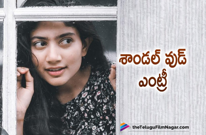 Actress Sai Pallavi To Make Her Debut Into Sandalwood Soon,Sai Pallavi Sandalwood Debut,Sai Pallavi Plans To Sandalwood Debut,Sai Pallavi Mansore Movie,Sandalwood,Mansore,Sai Pallavi Sandalwood Movie,Telugu Filmnagar,Latest Telugu Movies News,Sai Pallavi And Mansore Movie,Sai Pallavi Make Her Kannada Debut With Mansore Movie,Mansore In Talks With Sai Pallavi For A Political Thriller,Sai Pallavi All Set To Make Her Kannada Debut,Sai Pallavi Kannada Debut With Mansore,Mansore Sai Pallavi,Sai Pallavi And Mansore Film,Sai Pallavi And Mansore New Movie,Sai Pallavi And Mansore Kannada Movie,Sai Pallavi Kannada Debut,Sai Pallavi Kannada Debut Movie,Sai Pallavi To Make Her Debut Into Sandalwood,Sai Pallavi Sandalwood Movie,Sai Pallavi Sandalwood Entry,Sai Pallavi Sandalwood Debut Movie,Telugu Filmnagar,Latest Telugu Movies 2021,Sai Pallavi,Actress Sai Pallavi,Heroine Sai Pallavi,Sai Pallavi Latest News,Sai Pallavi Movie Updates,Sai Pallavi New Movie,Sai Pallavi Latest Movie,Sai Pallavi Upcoming Projects,Sai Pallavi Next Projects,Sai Pallavi Latest Movie Updates,Sai Pallavi New Movie Updates,Sai Pallavi Latest Film Updates,Sai Pallavi Upcoming Kannada Movie,Sai Pallavi Movie,Sai Pallavi Kannada Movie,Sai Pallavi Latest Kannada Movie,Sai Pallavi New Movies,Love Story,Sai Pallavi Sandalwood Film