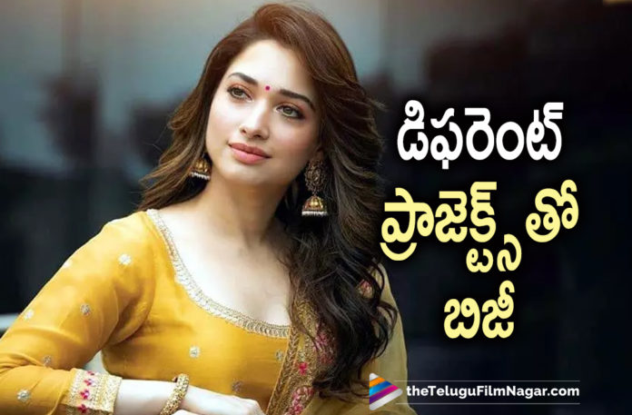 Actress Tamannaah Gets Busy In Tollywood With Multiple Movie Projects,Tamannah Busy With Different Projects,Tamannah Web Series,Telugu Filmnagar,Latest Telugu Movies 2021,Telugu Film News,Tollywood Movie Updates,Latest Tollywood News,Tamannah,Tamannah Latest Movies,Tamannah Movie Updates,Tamannaah New Movie,Tamannaah Latest Movie,Tamannaah Upcoming Movies,Tamannaah Next Projects,Tamannaah Upcoming Projects,Tamannaah Movies,Tamannaah Latest News,Tamannaah Latest Movie Details,Tamannaah Latest Film Updates,Tamannaah Latest Movie Updates,Tamannaah New Movie Updates,Tamannaah Latest Updates,Tamannaah Latest,Tamannaah Movie Updates,Tamannaah Movie News,Tamannaah Upcoming Movie,Tamannaah Next Movie,Tamannaah Next Movie News,Tamannaah Upcoming Movie Updates,Tamannaah Movie Projects,Tamannaah New Movie Projects,Tamannaah Latest Movie Projects,Tamannaah Gets Busy In Tollywood,Tamannaah Multiple Movie Projects,Tamannaah Upcoming Movie Projects,Tamannaah New Projects,Tamannaah Updates,Tamannaah New Movie Details,F3,F3 Movie,F3 Telugu Movie,F3 Movie Updates,Tamannaah F3,Tamannah New Web Series,Gurthunda Seethakalam,Gurthunda Seethakalam Movie,Tamannaah Gurthunda Seethakalam,Maestro,Maestro Movie,Tamannaah Maestro,Seetimaarr,Seetimaarr Telugu Movie,Seetimaarr Movie,Tamannaah Seetimaarr