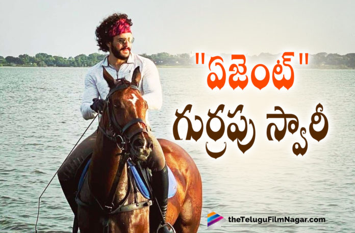 Akhil Sneak Peek Video Of Horse Riding Session Goes Viral On Social Media,Akhil Akkineni On Instagram,Agent Shooting Begins,Agent Shoot Begins,Agent First Look,Agent Movie First Look,Akhil New Movie Agent,Akhil Agent Movie First Look,Agent,Akhil Akkineni,Akhil Akkineni Latest Movie,Surender Reddy,Telugu Filmnagar,Latest Telugu Movies 2021,Telugu Film News,Tollywood Movie Updates,Latest Tollywood Updates,AGENT,Agent Movie,Agent Film,Agent Telugu Movie,Agent Movie Update,Agent Movie News,Akhil Agent,Agent Akhil,Akhil New Movie,Akhil Latest Movie,Agent Look,Akhil,Akhil Akkineni Agent,Surender Reddy Latest Movie,Agent Movie Akhil,Agent Movie Latest Upates,Agent Movie Latest News,Akhil Sneak Peek Video Of Horse Riding Session,Akkineni Akhil Latest Horse Riding Video,Akhil Akkineni Horse Riding In Water,Akhil Horse Riding Video,Akkineni Akhil Fastest Horse Riding Video,Akkineni Akhil Agent Movie,Akkineni Akhil Agent,Akhil Agent Movie,Akkineni Akhil Horse Riding Visuals,Akhil Horse Riding In Water,Akkineni Akhil Horse Riding,Akhil Hourse Riding,Horse Riding,Akhil Akkineni Horse Riding Video,Akhil Akkineni Horse Riding Skills,Akhil Video,Akhil Horse Riding Session,Akhil Akkineni Riding Horse,Akhil Latest Horse Riding Photos,Akhil Horse Riding Latest Video,Akkineni Akhil Horse Riding Video