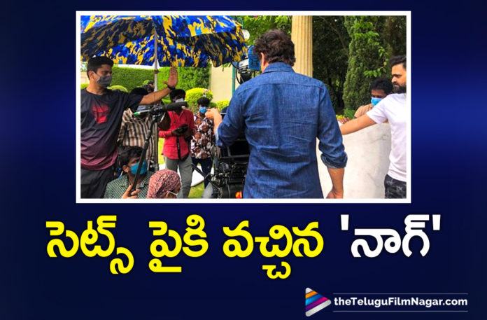Akkineni Nagarjuna Joins The Sets Of Praveen Sattaru Movie Akkineni Nagarjuna Joins The Sets Of Praveen Sattaru Movie,Nagarjuna Joins The Sets Of Praveen Sattaru Movie,Akkineni Nagarjuna Joins Praveen Sattaru Movie,Nagarjuna Akkineni Resumes Shooting For Praveen Sattaru Movie,Akkineni Nagarjuna Resumes Shooting For Praveen Sattaru Movie,Nagarjuna Starts Second Schedule Of Praveen Sattaru Movie,Telugu Filmnagar,Latest Telugu Movie 2021,Nagarjuna,Akkineni Nagarjuna,Nagarjuna Movies,Nagarjuna New Movie,Nagarjuna Latest Movie,Nagarjuna Latest Movie,Nagarjuna Updates,Nagarjuna Upcoming Movie,Nagarjuna Latest News,Nagarjuna New Movie Update,Nagarjuna Latest Movie Update,Nagarjuna Movie,Nagarjuna Next Movie,Nagarjuna Upcoming Projects,Nagarjuna Next Projects,Nagarjuna Latest Movie Shooting Update,Nagarjuna New Movie Shooting Update,Praveen Sattaru,Praveen Sattaru Movies,Praveen Sattaru New Movie,Nagarjuna And Praveen Sattaru,Akkineni Nagarjuna And Praveen Sattaru Movie,Nagarjuna And Praveen Sattaru Movie Update,Nagarjuna And Praveen Sattaru Movie Second Schedule,Nagarjuna And Praveen Sattaru Movie Second Schedule Started,Nagarjuna And Praveen Sattaru Film Second Schedule,Nagarjuna And Praveen Sattaru Movie Latest Shooting Update,Nagarjuna And Praveen Sattaru Movie Shooting Update,King Nagarjuna Next,Kajal Aggarwal,Nagarjuna New Movie Shooting,Nagarjuna And Praveen Sattaru Movie Second Schedule Resumes,Nagarjuna Resumes Shooting For Praveen Sattaru Movie