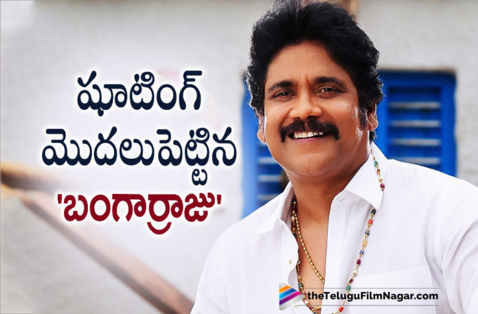 Akkineni Nagarjuna Starrer Bangarraju Movie Team Kickstarts Shooting Work,Telugu Filmnagar,Latest Telugu Movie 2021,2021 Latest Telugu Movie Updates,Nagarjuna,Akkineni Nagarjuna,Nagarjuna Movies,Nagarjuna New Movie,Nagarjuna Latest Movie,Nagarjuna Upcoming Movie,Nagarjuna Bangarraju,Nagarjuna Bangarraju Movie,Naga Chaitanya,Naga Chaitanya Movies,Naga Chaitanya New Movie,Naga Chaitanya Bangarraju,Nagarjuna And Naga Chaitanya Movie,Nagarjuna Akkineni Next,Nagarjuna Bangarraju Movie Update,Bangarraju Movie Updates,Bangarraju Latest Updates,Bangarraju,Bangarraju Movie,Bangarraju Telugu Movie,Bangarraju 2021 Latest Telugu Movie,Nagarjuna Bangarraju Movie Latest Update,Krithi Shetty,Ramya Krishna,Bangarraju Movie Team Kickstarts Shooting Work,Bangarraju Movie Starts Shooting Work,Nagarjuna Bangar Raju Movie Latest Update,Nagarjuna's Bangarraju Movie Latest Update,Nagarjuna Bangarraju Movie Latest Shooting Update,Nagarjuna Bangarraju Movie Shooting Latest Update,Nagarjuna Bangarraju Movie Shooting Update,Nagarjuna Bangarraju Latest Shooting Update,Bangarraju Movie Update,Bangarraju Movie Shooting Update,Bangarraju Movie Latest Shooting Update,Bangarraju Shooting Started,Bangarraju Movie Latest Updates,Bangarraju Movie Shooting Kickstarts,Nagarjuna New Movie Update,Nagarjuna Latest Movie Updates,Nagarjuna Movie Updates,#Bangarraju