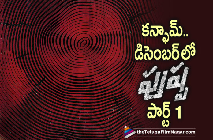 First Part Of Icon Staar Allu Arjun Starrer Pushpa Movie To Hit Theatres In December,Allu Arjun New Movie,Telugu Filmnagar,Latest Telugu Movie 2021,Director Sukumar,Sukumar,Sukumar Movies,Sukumar New Movie,Allu Arjun,Allu Arjun Movies,Allu Arjun Next Movie,Icon Staar Allu Arjun,Pushpa Raj,Pushpa,Pushpa Movie,Pushpa Telugu Movie,Pushpa Updates,Pushpa Movie Updates,Rashmika Mandanna Movies,Allu Arjun Pushpa,Allu Arjun Pushpa Movie,Rashmika Mandanna,Pushpa Release Update,Pushpa Movie Release Date,Pushpa Release Date,Allu Arjun Pushpa Release Date,Allu Arjun Pushpa Movie Release Date,Pushpa Part 1 Release Date Out,Pushpa The Rise,Thaggedhe Le,Sukumar And Allu Arjun’s Pushpa On December 2021 Release,Pushpa To Hit The Theatres This December,Pushpa Part 1 Release Date,Pushpa Part 1 Movie Release Date,Pushpa Part 1 To Hit Theatres In December,Pushpa-The Rise,Pushpa The Rise Part 1,Pushpa The Rise Part 1 Release Date,Pushpa Release Date Announcement,Pushpa Part 1,Devi Sri Prasad,Pushpa Trailer,Pushpa The Rise Allu Arjun,Pushpa The Rise Part 1 Official Release Date,Allu Arjun Pushpa The Rise: Part 1,Allu Arjun Pushpa The Rise Part Release Date,Allu Arjun Pushpa The Rise Part 1 To Hit Screens On Christmas 2021,Pushpa On Christmas 2021,Pushpa Official Release Date,Pushpa - The Rise,Pushpa The Rise Part - 01,Pushpa The Rise New Poster,Pushpa The Rise Part 1 Release Update,Fahadh Faasil,#Pushpa,#PushpaTheRise