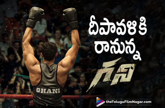 Mega Prince Varun Tej Sports Drama Ghani Movie To Hit Theatres For Deepawali,Telugu Filmnagar,Latest Telugu Movies 2021,Varun Tej,Actor Varun Tej,Hero Varun Tej,Varun Tej Latest News,Varun Tej Movies,Varun Tej New Movie,Varun Tej Latest Movie,Varun Tej New Movie Update,Varun Tej Ghani,Varun Tej Ghani Movie,Ghani Varun Tej,Ghani,Ghani Movie,Ghani Telugu Movie,Ghani Update,Ghani Movie Updates,Ghani Movie Latest Updates,Ghani Movie News,Ghani Movie Latest News,Ghani Movie Release Date Announced,Ghani Release Date Announced,Ghani Release Date,Ghani Movie Release Date,Ghani Telugu Movie Release Date,Varun Tej Ghani Release Date,Varun Tej Ghani Movie Release Date,Ghani Latest Updates,Ghani Movie Release Official Update,Ghani Official Release Date,Ghani Release Date Out,Varun Tej Upcoming Movie,Varun Tej Next Movie,Varun Tej Latest Film Updates,Ghani Poster,Ghani Movie Poster,Ghani Movie Latest Poster,Ghani Movie Release On Diwali 2021,Varun Tej Ghani Movie Release In Diwali 2021 In Theaters,Varun Tej Ghani Movie Release In Diwali 2021,Ghani Diwali 2021,Varun Tej Ghani Movie Release In Theaters,Varun Tej Ghani Diwali Release,Ghani Releases For Diwali,Varun Tej Ghani Locks Diwali Release Date,Varun Tej Ghani To Release In Theatres This Diwali 2021,Varun Tej Ghani Movie Released On Diwali,Varun Tej Ghani Locks Diwali Release,Varun Tej Ghani On Diwali,#Ghani
