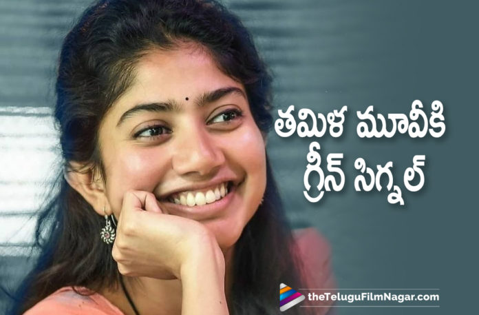 Sai Pallavi Gives Green Signal To A Tamil Movie,Telugu Filmnagar,Latest Telugu Movies 2021,Telugu Film News 2021,Tollywood Movie Updates,Latest Tollywood News,Sai Pallavi,Actress Sai Pallavi,Heroine Sai Pallavi,Sai Pallavi Latest News,Sai Pallavi Movie Updates,Sai Pallavi New Movie,Sai Pallavi Latest Movie,Sai Pallavi Upcoming Projects,Sai Pallavi Next Projects,Sai Pallavi Next Movie,Sai Pallavi Upcoming Films,Sai Pallavi New Movie Details,Sai Pallavi Upcoming Movie Details,Sai Pallavi Next Project News,Sai Pallavi Latest Movie Updates,Sai Pallavi New Movie Updates,Sai Pallavi Latest Film Updates,Sai Pallavi Upcoming Movie Updates,Sai Pallavi Upcoming Tamil Movie,Sai Pallavi Movie,Sai Pallavi Movie News,Sai Pallavi Tamil Movie,Sai Pallavi Latest Tamil Movie,Sai Pallavi New Tamil Movie,Sai Pallavi Green Signal To A Tamil Movie,Sai Pallavi Next New Movies,Sai Pallavi New Movies,Sai Pallavi Next Movies,Sai Pallavi New Movie Details On Cards,Sai Pallavi Latest Movie Details On Cards,Sai Pallavi Upcoming Movie Details On cards,Sai Pallavi Next Project Details On Cards,Love Story,Love Story Movie,Sai Pallavi Love Story Movie,Sai Pallavi New Movie Updates