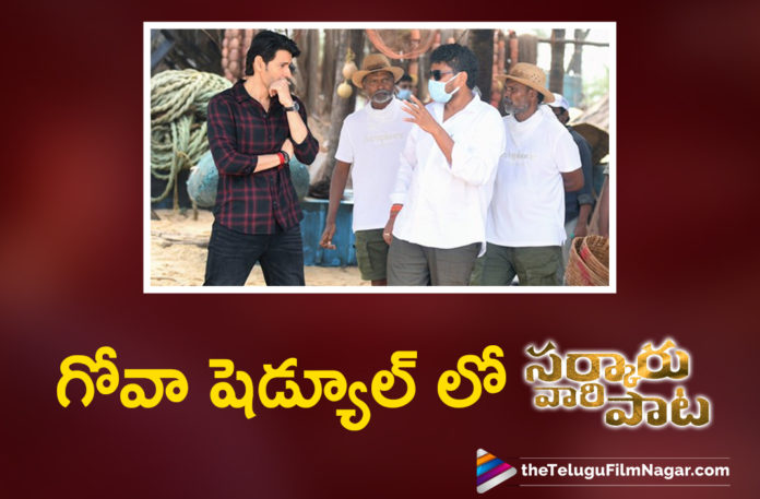 Sarkaru Vaari Paata Movie Team Heads To Goa To Finish A Fight Schedule,Goa Schedule Of Mahesh Babu Sarkaru Vaari Paata Begins,Mahesh Babu Resumes Shooting For Sarkaru Vaari Paata In Goa,Mahesh Babu Resumes Shooting In Goa,Sarkaru Vaari Paata Resumes A New Shoot Schedule In Goa,Sarkaru Vaari Paata Movie Next Schedule Update,Mahesh Babu Sarkaru Vaari Paata Resumes Filming,Mahesh Babu Resumes Sarkaru Vaari Paata Shoot In Goa,Mahesh Babu Sarkaru Vaari Paata Resumes Shoot In Goa,Sarkaru Vaari Paata Shoot Update,Mahesh Babu Sarkaru Vaari Paata Shooting Latest Update,Sarkaru Vaari Paata Latest Shooting Update,Sarkaru Vaari Paata Shooting Update,Sarkaru Vaari Paata Shooting,Sarkaru Vaari Paata Resumes In Goa,Sarkaru Vaari Paata Shoot Update,Sarkaru Vaari Paata Movie Updates,Sarkaru Vaari Paata Latest Updates,Sarkaru Vaari Paata Shoot Resumes In Goa,Sarkaru Vaari Paata Action Sequence,Sarkaru Vaari Paata Goa Shooting Schedule,Mahesh Babu Sarkaru Vaari Paata Latest Shooting Update,Sarkaru Vaari Paata Shoot Updates,Mahesh Babu Sarkaru Vaari Paata First Look,Sarkaru Vaari Paata Birthday Blaster,Mahesh Babu,Keerthy Suresh,Parasuram Petla,Thaman S,Telugu Filmnagar,Latest Telugu Movie 2021,Mahesh Babu Movies,Mahesh Babu New Movie,Sarkaru Vaari Paata Teaser,Mahesh Babu Sarkaru Vaari Paata,Sarkaru Vaari Paata,Sarkaru Vaari Paata Movie,Super Star Birthday Blaster,Sarkaru Vaari Paata Movie Teaser,SVP Teaser,#SarkaruVaariPaata