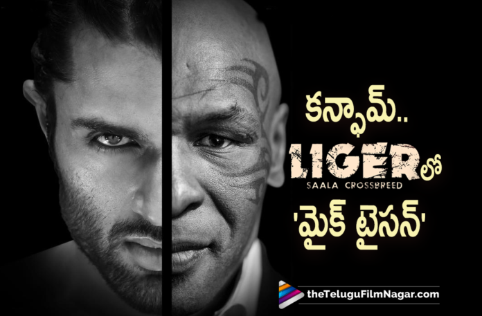 Boxing Legend Mike Tyson To Join Liger Movie Team,Liger Movie Latest Shooting Update,Liger Movie Shooting Update,Liger Movie Goa Schedule,Ananya Panday,Vijay Deverakonda Liger Movie,Vijay Deverakonda Liger,Liger Movie Update,Liger Latest Updates,Vijay Deverakonda Liger Shooting Update,Telugu Filmnagar,Latest Telugu Movies 2021,Liger,Liger Movie,Liger Telugu Movie,Liger Updates,Liger Movie Updates,Liger Telugu Movie Updates,Liger Movie Latest Updates,Liger Movie Latest News,Vijay Deverakonda's Liger,Vijay Deverakonda,Vijay Deverakonda New Movie,Vijay Deverakonda Latest Movie,Vijay Deverakonda Movies,Charmme Kaur,Puri Jagannadh,Puri Jagannadh Movies,LIGER - Mike Tyson Announcement,LIGER Mike Tyson Announcement,Liger Mike Tyson,Mike Tyson Liger,Liger Movie Mike Tyson Announcement,Namaste TYSON,TYSON,Namaste Tyson,Mike Tyson Onboard Liger Movie,Mike Tyson Onboard For Vijay Deverakonda’s Liger,Mike Tyson Onboard For Liger,Vijay Deverakonda Unveils First Look Of Iron Mike Tyson,First Look Of Iron Mike Tyson,Mike Tyson Liger First Look,Mike Tyson In Liger,Liger Mike Tyson Official First Look,Mike Tyson First Look,Liger Mike Tyson First Look,Vijay Deverakonda Liger Movie Update,Legend Mike Tyson Onboard For Liger,Boxing Legend Mike Tyson Onboard For Liger,Mike Tyson In Liger Movie,Mike Tyson Latest News,HBD Puri Jagannadh,Iron Mike Tyson,Liger Saala Crossbreed,Liger Update,Mike Tyson Liger Movie,Mike Tyson Liger Poster,#NamasteTYSON,#Liger