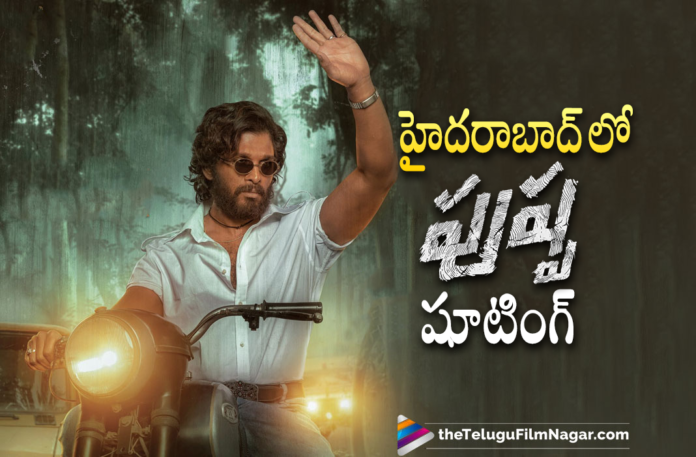 Pushpa Movie Team Kickstarts Last Leg Of Movie Shoot In Hyderabad,Pushpa Movie Team Shifts From Hyderabad For Shooting,Pushpa Team Shifts Base To Hyderabad,Pushpa Shoot Shifts To Hyderabad,Allu Arjun New Movie,Telugu Filmnagar,Latest Telugu Movie 2021,Director Sukumar,Sukumar,Sukumar Movies,Sukumar New Movie,Allu Arjun,Allu Arjun Movies,Allu Arjun Next Movie,Icon Staar Allu Arjun,Pushpa Raj,Pushpa,Pushpa Movie,Pushpa Telugu Movie,Pushpa Updates,Pushpa Movie Updates,Rashmika Mandanna Movies,Allu Arjun Pushpa,Allu Arjun Pushpa Movie,Rashmika Mandanna,Pushpa Release Update,Pushpa Movie Release Date,Pushpa Release Date,Pushpa Part 1,Pushpa The Rise,Thaggedhe Le,Sukumar And Allu Arjun Movie,Pushpa The Rise,Pushpa The Rise Part 1,Devi Sri Prasad,Icon Staar Allu Arjun,Allu Arjun New Movie,Pushpa Movie Shooting,Pushpa Movie Shoting Update,Pushpa Latest Updates,Pushpa Movie News,Pushpa Movie Update,Pushpa Movie Latest Updates,Allu Arjun Pushpa Movie Shooting,Allu Arjun Pushpa Movie Latest Shooting Update,Allu Arjun Pushpa Movie Shooting Latest Update,Allu Arjun Pushpa Latest Shooting Update,Allu Arjun Pushpa Shooting Update,Allu Arjun Pushpa Latest Updates,Allu Arjun Pushpa Movie Update,Pushpa Shoot In Hyderabad,Pushpa Rashmika Mandanna First Look,Pushpa Teaser,#Pushpa,#PushpaTheRise