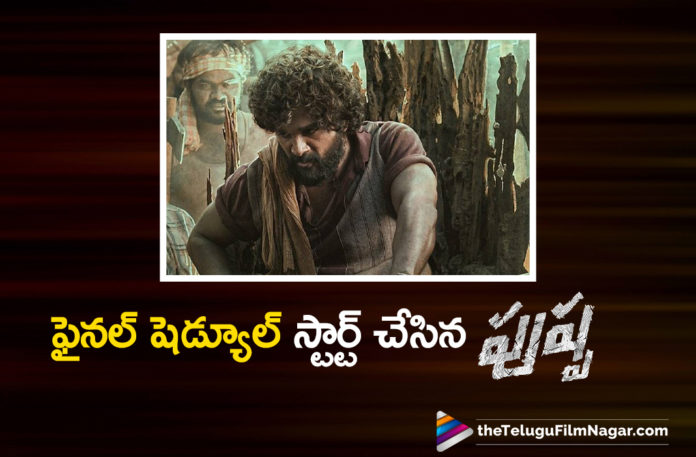 Pushpa Movie Team Kickstarts The Final Schedule,Pushpa Movie Final Schedule,Pushpa Movie Final Schedule Update,Pushpa Final Schedule Update,Pushpa Final Shooting Schedule,Pushpa Final Shooting Schedule Update,Pushpa Shooting In Maredumilli Forest,Allu Arjun New Movie,Telugu Filmnagar,Latest Telugu Movie 2021,Director Sukumar,Sukumar,Sukumar Movies,Allu Arjun,Allu Arjun Movies,Icon Staar Allu Arjun,Pushpa Raj,Pushpa,Pushpa Movie,Pushpa Telugu Movie,Pushpa Updates,Pushpa Movie Updates,Rashmika Mandanna Movies,Allu Arjun Pushpa,Allu Arjun Pushpa Movie,Rashmika Mandanna,Pushpa Release Date,Pushpa Part 1,Pushpa The Rise,Thaggedhe Le,Sukumar And Allu Arjun Movie,Pushpa The Rise,Pushpa The Rise Part 1,Devi Sri Prasad,Icon Staar Allu Arjun,Allu Arjun New Movie,Pushpa Movie Shooting,Pushpa Movie Shoting Update,Pushpa Latest Updates,Pushpa Movie News,Pushpa Movie Update,Pushpa Movie Latest Updates,Allu Arjun Pushpa Movie Shooting,Allu Arjun Pushpa Movie Latest Shooting Update,Pushpa Movie Shooting Latest Update,Allu Arjun Pushpa Latest Shooting Update,Allu Arjun Pushpa Movie Shooting Update,Allu Arjun Pushpa Latest Updates,Allu Arjun Pushpa Movie Update,Pushpa Shooting In Maredumilli Forest,Allu Arjun Pushpa Shooting In Maredumilli Forests,Allu Arjun Pushpa Shoot In Maredumilli Forest,#Pushpa,#PushpaTheRise