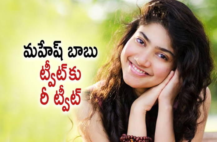 Sai Pallavi Retweets Super Star Mahesh Babu Tweet,Sai Pallavi Happy With Mahesh Babu Tweet,Fan Girl Sai Pallavi Read Mahesh's Tweet A Million Times,Fan Girl Sai Pallavi Elated With Mahesh's Tweet,Telugu Filmnagar,Love Story,Love Story Movie,Love Story Telugu Movie,Love Story Update,Love Story Movie Update,Love Story Movie News,Love Story Telugu Movie Updates,Sekhar Kammula,Sekhar Kammula Movies,Naga Chaitanya,Sai Pallavi,Heroine Sai Pallavi,Sai Pallavi Movies,Naga Chaitanya New Movie,Naga Chaitanya,Latest Telugu Movies 2021,Latest Tollywood Updates,Latest 2021 Telugu Movie Updates,Sai Pallavi New Movie Update,Sai Pallavi Latest Movie Update,Love Story Update,Love Story Latest Updates,Love Story Movie Latest Updates,Love Story Review,Love Story Movie Review,Magical Block Buster Love Story,Love Story Movie Update,Love Story Video Songs,Love Story Songs,Love Story Movie Songs,Sekhar Kammula New Movie,Sekhar Kammula Love Story,Mahesh Babu About Love Story Movie,Mahesh Babu,Super Star Mahesh Babu,Mahesh Babu Movies,Sai Pallavi Latest News,Mahesh Babu Latest Movie,Mahesh Babu About Love Story,Mahesh Babu Reviews Love Story Movie,Mahesh Babu's Review Of Love Story,Mahesh Babu On Sekhar Kammula's Love Story,Mahesh Babu Review Of Love Story Movie,Mahesh Babu Lauds Love Story,Mahesh Babu Reviews Love Story,Mahesh Babu About Sai Pallavi,Sai Pallavi Retweets Mahesh Babu Tweet,Sai Pallavi Tweet,#LoveStory,#MaheshBabu,#SaiPallavi