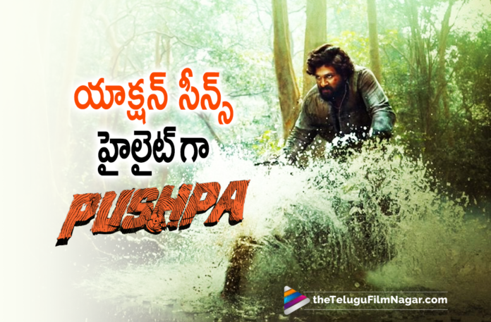 Action Sequences Going To Be The Biggest Highlight In Pushpa Movie,Pushpa Face Scenes Between Pushpa Raj And Bhanwar Singh Shekhawat,Pushpa Part 1,Allu Arjun New Movie,Telugu Filmnagar,Latest Telugu Movie 2021,Sukumar,Sukumar Movies,Allu Arjun,Allu Arjun Movies,Icon Staar Allu Arjun,Pushpa Raj,Pushpa,Pushpa Movie,Pushpa Telugu Movie,Pushpa Updates,Pushpa Movie Updates,Allu Arjun Pushpa,Allu Arjun Pushpa Movie,Rashmika Mandanna,Pushpa Release Date,Pushpa The Rise,Thaggedhe Le,Pushpa The Rise Part 1,Devi Sri Prasad,Icon Staar Allu Arjun,Allu Arjun New Movie,Pushpa Movie Shooting,Pushpa Latest Updates,Pushpa Movie News,Pushpa Movie Update,Pushpa Movie Latest Updates,Allu Arjun Pushpa Movie Shooting Update,Allu Arjun Pushpa Movie Latest Update,Allu Arjun Pushpa Update,Allu Arjun Pushpa Latest Updates,Allu Arjun Pushpa Movie Update,Allu Arjun Pushpa Movie Latest Shooting Update,Pushpa Teaser,Pushpa Update,Fahadh Faasil,Fahadh Faasil Movies,Fahadh Faasil New Movie,Fahadh Faasil Pushpa,Allu Arjun And Fahadh Faasil Face Off Scenes In Pushpa,Allu Arjun And Fahadh Faasil Face Off Scenes,Allu Arjun And Fahadh Faasil Face Off Scenes Pushpa Shooting,Bhanwar Singh Shekhawat,The Face Off Scenes Between Pushpa Raj And Bhanwar Singh Shekhawat,Pushpa Movie Latest Shooting Update,Pushpa Movie Shooting Latest Update,Allu Arjun And Fahadh Faasil Shoot Face Off Scenes,Allu Arjun And Fahadh Faasil Face Off Scenes Shooting,#PushpaTheRise,#PushpaTheRiseOnDec17