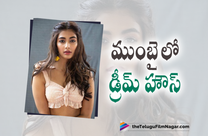Actress Pooja Hegde Shares A Glimpse Of Her Mumbai House On Social Media Actress Pooja Hegde Shares A Glimpse Of Her Mumbai House On Social Media, Latest Telugu Movie News, Latest Tollywood News, Telugu Film News 2021, Telugu Filmnagar, Tollywood Movie Updates, Actress Pooja Hegde, Pooja Hegde Shares A Glimpse Of Her Mumbai House, Pooja Hegde share her dream home, actress Pooja Hegde revealed a glimpse of her 'dream home, Pooja Hegde home in Mumbai, Pooja Hegde Latest Photos, Pooja Hegde New Movie
