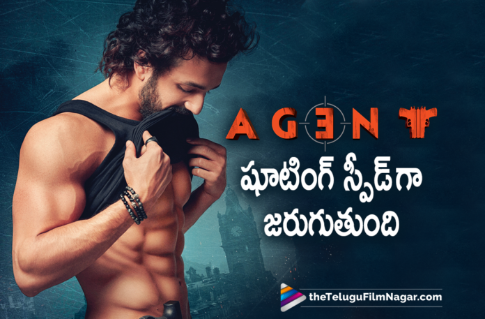 Actor Akhil Akkineni Latest News, Agent Movie Shooting, Agent Movie Shooting Begins, Agent Movie Shooting Going On A Brisk Speed, Agent Movie Shooting Going On A Brisk Speed Says Akhil Akkineni, Agent Movie Shooting Update, Agent Movie Shooting Updates, Akhil Agent Movie Shooting, Akhil Agent Movie Shooting News, Akhil Agent Movie Shooting Update, Akhil Akkineni, Akhil Akkineni Agent Shooting, Telugu Film News 2021, Telugu Filmnagar, Tollywood Movie Updates