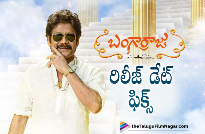 Akkineni Nagarjuna Starrer Bangarraju Movie Release Date Confirmed Akkineni Nagarjuna Starrer Bangarraju Movie Release Date Confirmed,Akkineni Nagarjuna Starrer Bangarraju Movie Joins The List Of Movies Releasing For Sankranthi,Nagarjuna’s Bangarraju To Enter Sankranthi Race,Nagarjuna To Enter Sankranthi Race Now,Latest 2021 Telugu Movie Updates,Telugu Filmnagar,Latest Telugu Movie 2021,Nagarjuna,Akkineni Nagarjuna,Nagarjuna Movies,Nagarjuna New Movie,Nagarjuna Latest Movie,Nagarjuna Upcoming Movie,Nagarjuna Bangarraju,Nagarjuna Bangarraju Movie,Naga Chaitanya,Naga Chaitanya Movies,Naga Chaitanya New Movie,Naga Chaitanya Bangarraju,Nagarjuna And Naga Chaitanya Movie,Nagarjuna Bangarraju Movie Update,Bangarraju Movie Updates,Bangarraju Latest Updates,Bangarraju,Bangarraju Movie,Bangarraju Telugu Movie,Bangarraju 2021 Latest Telugu Movie,Nagarjuna Bangarraju Movie Latest Update,Krithi Shetty,Ramya Krishna,Nagarjuna Bangar Raju Movie Latest Update,Bangarraju Movie Update,Bangarraju Movie Latest Updates,Nagarjuna New Movie Update,Nagarjuna Latest Movie Updates,Nagarjuna Movie Updates,Bangarraju Update,Bangarraju Release Date,Bangarraju Movie Release Date,Bangarraju Movie Release Date Update,Bangarraju Movie Release Update,Akkineni Nagarjuna Bangarraju Release Date,Nagarjuna Bangarraju Release Date,Bangarraju Movie Releasing On Jan 12th,Bangarraju On Jan 12th,Bangarraju Movie Releasing From Jan 12th,Bangarraju Movie Release Date Confirmed,Bangarraju Movie Release Date Announcement,Bangarraju Telugu Movie Release Date,#Bangarraju