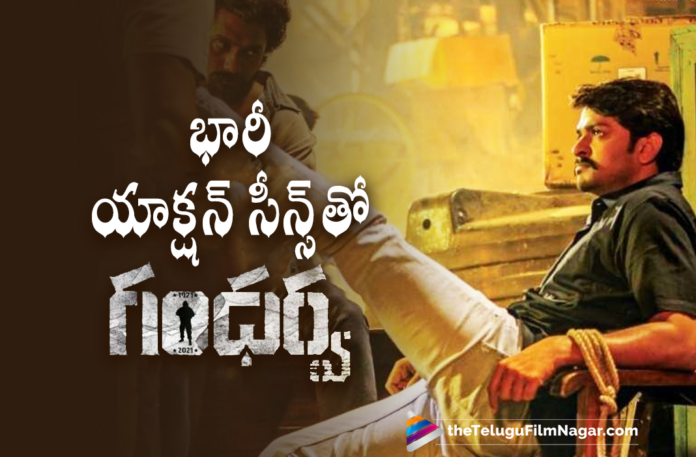 Gandharva Movie To Entertain Audience With Exhilarating Action Scenes,George Reddy Hero Sandeep New Movie High Action Sequence,Sandeep Madhav Gandharwa High Climax Action Sequence To Be Major Highlight,Sandeep New Movie High Action Sequence,Telugu Filmnagar,Latest Telugu Movies 221,Latest 2021 Telugu Movie Updates,Sandeep Madhav's Gandharva,Sandeep Madhav,Gandharva Movie,Gandharwa Motion Poster,Gandharva First Look,Gandharva Movie Motion Poster,Sandeep Madhav Movies,Sandeep Madhav Latest Telugu Movie,Sandeep Madhav Movie News,Sandeep Madhav New Movie Update,Sandeep Madhav Latest Movie Update,Sandeep Madhav Upcoming Movie,Sandeep Madhav New Movie Gandharva,Sandeep Madhav Gandharva,Sandeep Madhav Gandharva Movie,Sandeep Madhav Gandharva First Look,Gandharva Telugu Movie,Gandharva Updates,Gandharva Movie Updates,Gandharva Latest Updates,Gandharva Telugu Movie Updates,Gandharva 2021 Latest Telugu Movie,Gandharva Movie Latest Updates,Gandharva Movie Latest News,Sandeep Madhav Gandharva Movie Shooting Update,Sandeep Madhav Gandharva Movie Latest Shooting Update,Gandharva Shooting Update,Sandeep Madhav Gandharva Movie Shooting Latest Update,Sandeep Madhav Gandharva Movie Update,Sandeep Madhav In Gandharva,Sandeep Madhav Gandharva,Sandeep Madhav New Movie Gandharva,Gandharwa Movie Shooting Update,Gandharwa Movie Latest Shooting Update,Gandharwa Movie Shooting Latest Update,Gandharwa Movie Action Scenes Update,Gandharwa Movie Action Scenes,#Gandharva,#SandeepMadhav