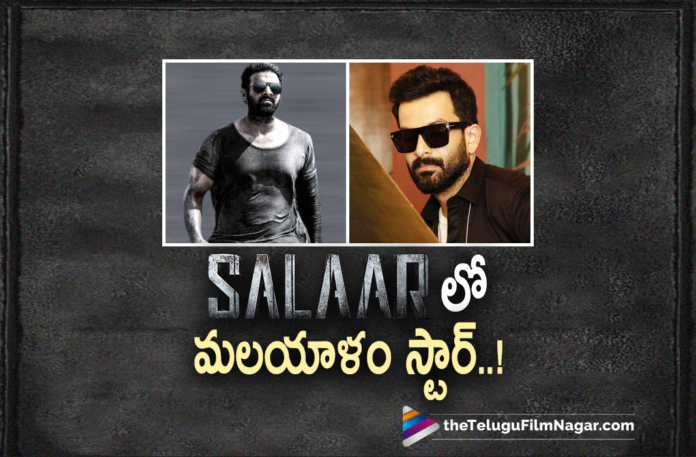 Malayalam Actor Prithviraj Sukumaran To Play A Pivotal Role In Salaar Movie,Malayalam Actor Prithviraj Sukumaran,Actor Prithviraj Sukumaran,Prithviraj Sukumaran,Prithviraj Sukumaran Latest News,Prithviraj,Prithviraj Movies,Prithviraj New Movie,Prithviraj Latest Movie,Prithviraj Sukumaran In Salaar,Prithviraj In Salaar Movie,Prithviraj In Prabhas Salaar Movie,Prithviraj Sukumaran To Play A Pivotal Role In Salaar,Prithviraj Role In Salaar Movie,Prithviraj To Play A Key Role In Salaar,Prithviraj Sukumaran Set To Join Salaar,Malayalam Superstar Prithviraj Key Role In Salaar,Prithviraj Sukumaran Playing Villain Role In Salaar,Prithviraj Sukumaran Role In Salaar,Malayalam Actor Prithviraj To Act In Salaar,Prithviraj To Star In Salaar,Prithviraj Sukumaran Going To Be Play A Key Role In Salaar Movie,Prithviraj Key Role In Salaar,Prithviraj To Star In Salaar Movie,Telugu Filmnagar,Latest Telugu Movies 2021,Prabhas,Rebel Star Prabhas,Prabhas Latest News,Prabhas New Movie,Prabhas Latest Movie,Prabhas Upcoming Movie,Salaar,Salaar Movie,Salaar Film,Salaar Telugu Movie,Salaar Update,Salaar Movie Updates,Salaar Movie Latest Updates,Salaar Movie Latest News,Salaar Prabhas,Prabhas Salaar,Prabhas Salaar Movie,Prabhas Salaar Movie Update,Director Prashanth Neel,Salaar Updates,Shruti Haasan,Prashanth Neel,Prabhas Salaar Movie Latest Update,Salaar Latest Update,Latest 2021 Telugu Movie Updates,Prabhas New Movie Update,Prabhas Latest Movie Update,Prabhas Upcoming Movies,#Salaar