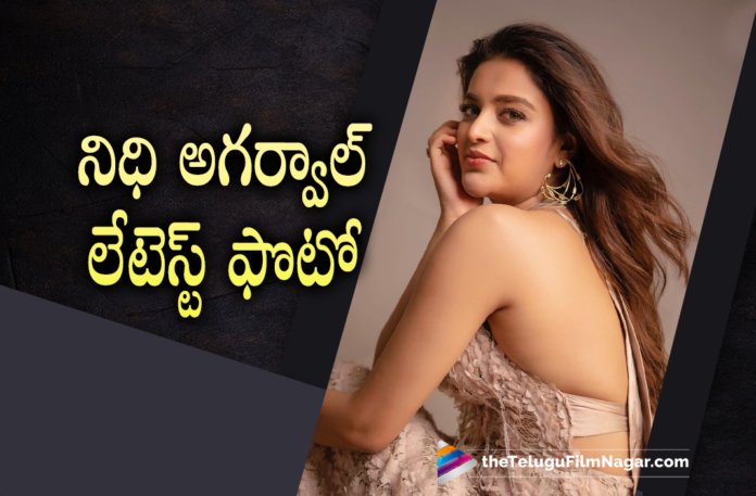 Nidhhi Agerwal Dazzles In Lastest Pictures As She Reaches 13 Million Followers On Instagram,Nidhhi’s Glam Treat For A Special Occasion,Nidhhi Agerwal Clocked 13 Million Followers On Instagram,Nidhhi Agerwal Instagram,Nidhhi Agerwal Instagram Photos,Nidhhi Agerwal Latest Instagram Pictures,Nidhhi Agerwal Instagram Followers,13 Million Followers For Nidhhi Agerwal On Instagram,13 Million Followers For Nidhhi Agerwal,Nidhhi Agerwal Reaches 13 Million Followers On Instagram,Nidhhi Agerwal Hits 13 Million Followers On Instagram,Nidhhi Agerwal 13 Million Instagram Followers,Nidhhi Agerwal Latest Photo,Nidhhi Agerwal Latest Images,Telugu Filmnagar,Latest Telugu Movies News,Telugu Film News 2021,Tollywood Movie Updates,Latest Tollywood News,Nidhhi Agerwal,Actress Nidhhi Agerwal Heroine Nidhhi Agerwal,Nidhhi Agerwal Latest News,Nidhhi Agerwal Latest Film Updates,Nidhhi Agerwal Movie Updates,Nidhhi Agerwal New Movie,Nidhhi Agerwal Latest Movie,Nidhhi Agerwal Upcoming Movie,Nidhhi Agerwal Next Project,Nidhhi Agerwal Upcoming Projects,Nidhhi Agerwal Latest Photo,Nidhhi Agerwal Latest Pictures,Nidhhi Agerwal Latest Pics,Nidhhi Agerwal Photo,Nidhhi Agerwal Picture,Nidhhi Agerwal Images,Nidhhi Agerwal Latest Photo Gallery,Nidhhi Agerwal Pics,Nidhhi Agerwal Stills,Nidhhi Agerwal Latest Stills,Nidhhi Agerwal Photoshoot,Nidhhi Agerwal Latest Photoshoot,Nidhhi Agerwal New Movie Update,Nidhhi Agerwal Latest Film Updates,Nidhhi Agerwal News,#NidhhiAgerwal