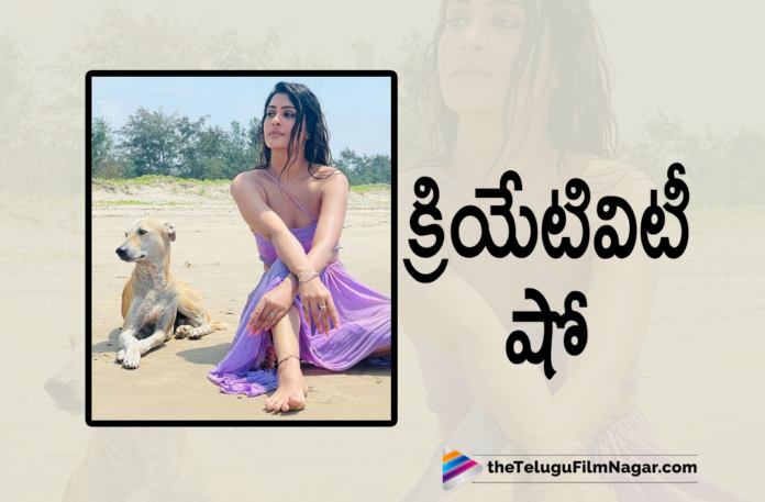 Payal Rajput Showcases Her Creativity Through Her Social Media Posts Payal Rajput Showcases Her Creativity Through Her Social Media Posts,Cute Payal Creativity Show,Payal Rajput Creativity Show,Telugu Filmnagar,Latest Telugu Movies 2021,Latest Tollywood News,Payal Rajput,Payal Rajput Movies,Payal Rajput New Movie,Payal Rajput Latest News,Actress Payal Rajput,Heroine Payal Rajput,Payal Rajput Latest Photos,Payal Rajput New Photos,Payal Rajput Photos,Payal Rajput Latest Photo Gallery,Payal Rajput New Pics,Payal Rajput New Look,Payal Rajput Latest Look,Payal Rajput Latest Look On Instagram,Payal Rajput Insta Pics,Payal Rajput Viral Pics,Payal Rajput New Look,Payal Rajput Latest Images,Payal Rajput New Photo Galery,Payal Rajput Latest Photos,Payal Rajput Latest Picture,Payal Rajput's Latest Picture,Payal Rajput Movie Updates,Payal Rajput Latest Film Updates,Payal Rajput New Movie Update,Payal Rajput Latest Movie Update,Payal Rajput Look,Payal Rajput Photoshoot,Payal Rajput Latest Photoshoot,Payal Rajput Picture,Actress Payal Rajput Latest Look,Payal Rajput News,Payal Rajput Latest,Payal Rajput Updates,Payal Rajput Latest Updates,Payal Rajput Upcoming Movies,Payal Rajput Upcoming Projects,Payal Rajput New Projects,Payal Rajput New Movies,Payal Rajput Latest Movies,Payal Rajput Next Project News,Payal Rajput Latest Look Goes Viral,Payal Rajput Pose In Goa Beach,Payal Rajput In Goa Beach,Payal Rajput Goa Photos,Payal Rajput Goa Vacation,Payal Rajput Goa Vacation Pics,Payal Rajput Goa Photoshoot,#PayalRajput