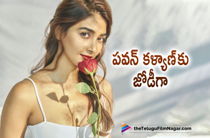 Pooja Hegde To Play Lead Role Opposite Power Star Pawan Kalyan In His Upcoming Movie With Harish Shankar,Telugu Filmnagar,Latest Telugu Movies 2021,Pawan Kalyan 28,PSPK28,PSPK28 Movie,PSPK28 Update,PSPK28 Movie Update,PSPK28 Movie Latest Updates,PSPK28 Latest Updates,Powerstar Pawan Kalyan,Pawan Kalyan,Pawan Kalyan Movies,Pawan Kalyan New Movie,Bhavadeeyudu Bhagat Singh,Bhavadeeyudu Bhagat Singh Movie,Bhavadeeyudu Bhagat Singh Telugu Movie,Bhavadeeyudu Bhagat Singh First Look,Bhavadeeyudu Bhagat Singh Movie First Look,Pawan Kalyan Bhavadeeyudu Bhagat Singh,Harish Shankar,Harish Shankar Movies,Harish Shankar New Movie,Devi Sri Prasad,Bhavadeeyudu Bhagat Singh Movie Updates,Bhavadeeyudu Bhagat Singh Update,Bhavadeeyudu Bhagat Singh Movie Heroine,Bhavadeeyudu Bhagat Singh Movie Cast,Bhavadeeyudu Bhagat Singh Heroine,Pooja Hegde Locked For Pawan Kalyan’s Next,Pooja Hegde In Bhavadeeyudu Bhagat Singh,Pooja Hegde In Bhavadeeyudu Bhagat Singh Movie,Pawan Kalyan Picks Pooja Hegde For Bhavadeeyudu Bhagat Singh,Pooja Hegde Opposite Pawan Kalyan In Bhavadeeyudu Bhagat Sing,Bhavadeeyudu Bhagat Singh Female Lead,Pawan Kalyan And Harish Shankar Movie,Harish Shankar Locks Pooja Hegde For Pawan Kalyan,Pooja Hegde Locked For Pawan Kalyan Bhavadeeyudu Bhagat Singh,Pooja Hegde Confirmed For Bhavadeeyudu Bhagat Singh,Pooja Hegde,Actress Pooja Hegde,Pooja Hegde Movies,Pooja Hegde New Movie,Pooja Hegde Upcoming Movie,Pooja Hegde Latest News,Pooja Hegde Latest Movie Udpate,#BhavadeeyuduBhagatSingh