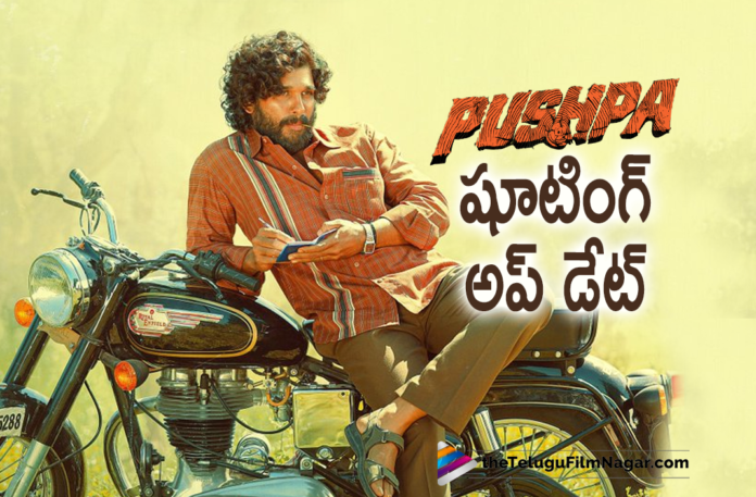 Pushpa Movie Team Releases An Interesting Update On Shooting Work Pushpa Movie Team Releases An Interesting Update On Shooting Work,Allu Arjun New Movie,Telugu Filmnagar,Latest Telugu Movie 2021,Director Sukumar,Sukumar,Sukumar Movies,Allu Arjun,Allu Arjun Movies,Allu Arjun Next Movie,Icon Staar Allu Arjun,Pushpa Raj,Pushpa,Pushpa Movie,Pushpa Telugu Movie,Pushpa Updates,Pushpa Movie Updates,Rashmika Mandanna Movies,Allu Arjun Pushpa,Allu Arjun Pushpa Movie,Rashmika Mandanna,Pushpa Release Update,Pushpa Movie Release Date,Pushpa Release Date,Pushpa Part 1,Pushpa The Rise,Thaggedhe Le,Pushpa The Rise,Pushpa The Rise Part 1,Devi Sri Prasad,Icon Staar Allu Arjun,Allu Arjun New Movie,Pushpa Movie Shooting,Pushpa Movie Shoting Update,Pushpa Latest Updates,Pushpa Movie News,Pushpa Movie Update,Pushpa Movie Latest Updates,Allu Arjun Pushpa Movie Shooting,Allu Arjun Pushpa Movie Latest Shooting Update,Allu Arjun Pushpa Movie Shooting Latest Update,Allu Arjun Pushpa Latest Shooting Update,Allu Arjun Pushpa Shooting Update,Allu Arjun Pushpa Latest Updates,Allu Arjun Pushpa Movie Update,Pushpa Teaser,Latest 2021 Telugu Movie Updates,Allu Arjun Pushpa Movie Shooting Update,Pushpa Shooting Latest Update,Allu Arjun Pushpa Shooting Latest Update,Pushpa Movie Shooting Update,Pushpa Movie Latest Shooting Update,Pushpa Latest Shooting Update,Allu Arjun Pushpa Update,Pushpa Shooting Update,Pushpa Update,Pushpa Movie Latest Update,Pushpa Latest Update,Update On Pushpa Shooting Work,Pushpa SOngs,Pushpa Movie Songs,Pushpa Movie Song Sooot,#Pushpa,#PushpaTheRise