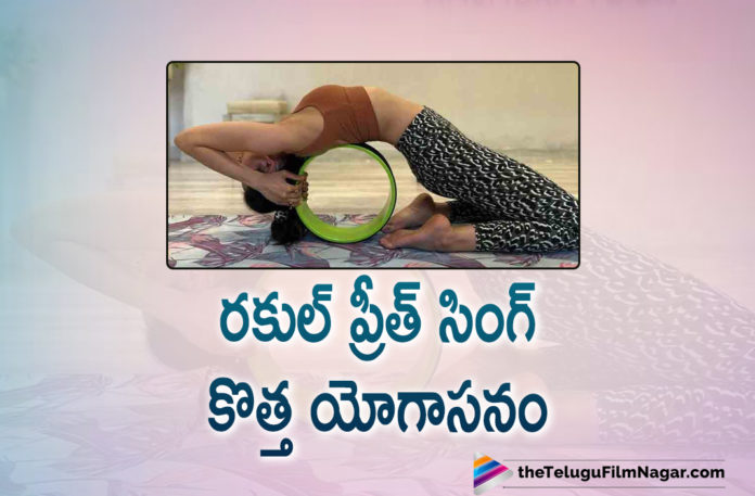 Rakul Preet Singh Latest Image On Social Media Showcasing Her New Yoga Posture Goes Viral,Rakul Preet Singh Latest Image,Rakul Preet Singh New Yoga Posture,Rakul Preet Singh New Yoga Pic,Rakul Preet Singh Yoga,Anshuka Yoga,Rakul Preet Singh Fitness,Rakul Preet Singh Gym Workout,Rakul Preet Singh Yoga Photos,Rakul Preet Singh Workout,Rakul Preet Singh Workout Pics,Telugu Filmnagar,Latest Telugu Movies News,Telugu Film News 2021,Tollywood Movie Updates,Latest Tollywood News,Rakul Preet Singh Shares Workout Session Video,Rakul Preet Shares Workout Session On Social Media,Rakul Preet Yoga Workout,Rakul Preet Fitness,Rakul Preet Singh Latest News,Rakul Preet Singh New Movie,Rakul Preet Singh Movies,Rakul Preet Singh Next Movie,Rakul Preet Singh Upcoming Movie,Rakul Preet Singh Latest Film Updates,Rakul Preet Singh Next Project,Rakul Preet Singh Workout Session,Rakul Preet Singh Workout Video,Rakul Preet Singh Latest Workout Session,Rakul Preet Singh Latest Workout Video,Rakul Preet Singh Videos,Rakul Preet Singh Photos,Rakul Preet Singh Pictures,Rakul Preet Latest Gallery,Rakul Preet Singh New Movie Update,Rakul Preet Singh Latest Movie Update,Rakul Preet Singh Exercise Video,Rakul Preet Singh Full Body Workout Video,Rakul Preet Singh Latest Instagram Post,Rakul Preet Singh Workout Videos,Rakul Preet Singh Yoga Workout Video,Rakul Preet Singh Yoga Posture,Rakul Preet Singh Yoga Lesson,#RakulPreetSingh