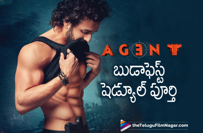Agent Movie Budapest Shooting Schedule Completed,Agent Update,Agent Movie Updates,Agent Latest Update,Agent Movie Latest Update,Agent Movie Shooting Update,Agent Movie Shooting Latest Update,Akhil New Movie Agent,Agent,Akhil Akkineni,Akhil Akkineni Latest Movies,Surender Reddy,Telugu Filmnagar,Latest Telugu Movies 2021,Latest 2021 Telugu Movie Updates,Tollywood Movie Updates,Latest Tollywood News,AGENT,Agent Movie,Agent Film,Agent Telugu Movie,Agent Movie Update,Agent Movie News,Akhil Agent,Agent Akhil,Akhil New Movie,Akhil Latest Movie,Agent Look,Akhil,Akhil Akkineni Agent,Surender Reddy Latest Movie,Agent Movie Akhil,Agent Movie Latest Upates,Agent Movie Latest News,Agent Movie Shooting,Agent Movie Shooting Updates,Agent Movie Shoot,Agent Movie Latest,Agent Movie Shoot,Akhil New Movie Shoot,Agent Shooting,Akhil Agent Movie Latest Shooting Update,Akhil Agent Latest Shooting Update,Akhil Agent Movie Shooting Update,Akhil Agent Shooting Update,Akhil Akkineni New Movie Update,Akhil Akkineni Latest Movie Update,Akhil Akkineni Agent Shooting,Agent Latest Updates,Agent Updates,Akhil Agent Shooting Latest Update,Agent Movie Latest Shooting Update,Agent Team Completes Budapest Shooting Schedule,Agent Movie Budapest Schedule,Agent Budapest Schedule,Agent Budapest Completed,Mammootty,Mammootty Movies,Mammootty Agent Movie,Agent Movie Budapest Shooting Schedule Completed,Agent Budapest Schedule Completed,#AGENT,#AkhilAkkineni