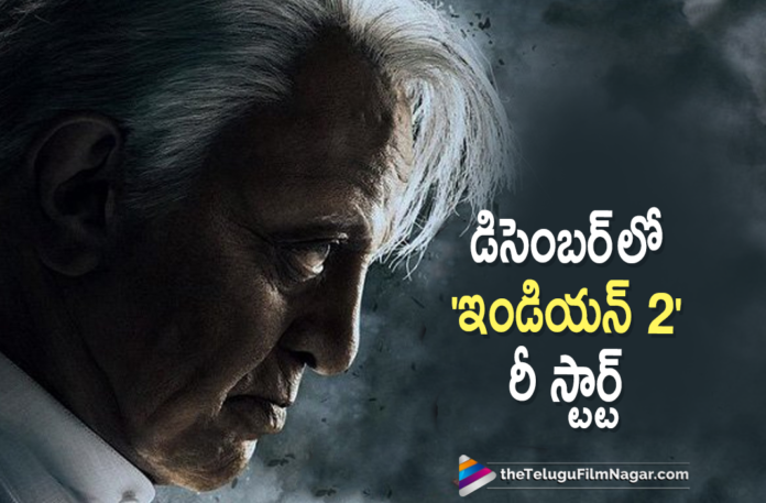 Kamal Haasan Starrer Indian 2 Movie Shooting To Resume From December,Indian 2 Updates,Indian 2 Movie Shooting To Resume From December,Kamal Haasan To Resume Shooting For Indian 2 In December,Kamal Haasan To Resume Filming For Shankar’s Indian 2 In December,Kamal Haasan To Resume Indian 2 Shoot In December,Kamal Haasan's Indian 2 Shooting Resumes From December,Kamal Haasan Indian 2 Shooting Resumes In December,Kamal Haasan Next Movie Update,Indian 2,Telugu Filmnagar,Latest Telugu Movies 2021,Indian 2 Latest Shooting Update,Indian 2,Indian 2 Movie,Indian 2 Movie Update,Indian 2 Update,Indian 2 Movie Latest Update,Indian 2 Movie Updates,Indian 2 Latest Update,Indian 2 Movie Shooting,Indian 2 Shooting,Indian 2 Movie Shooting,Indian 2 Movie Shooting Latest Update,Indian 2 Movie Latest Shooting Update,Indian 2 Latest Shooting Update,Indian 2 Shooting Update,Kamal Haasan Indian 2,Kamal Haasan Indian 2 Movie,Kamal Haasan Indian 2 Movie Shooting Latest Update,Kamal Haasan Indian 2 Movie Latest Shooting Update,Kamal Haasan Indian 2 Shooting Update,Kamal Haasan Indian 2 Movie Update,Vikram,Vikram Movie,Indian 2 Movie Shooting News,Kamal Haasan,Actor Kamal Haasan,Kamal Haasan New Movie,Kamal Haasan Latest News,Hero Kamal Haasan,Kamal Haasan Movies,Kamal Haasan Latest Movie,Kamal Haasan New Movie Update,Kamal Haasan Latest Movie Update,Kamal Haasan Latest Film Updates,Kamal Haasan Upcoming Movie,Kamal Haasan Next Movie,S Shankar,Shankar Movies,#Indian2,#KamalHaasan