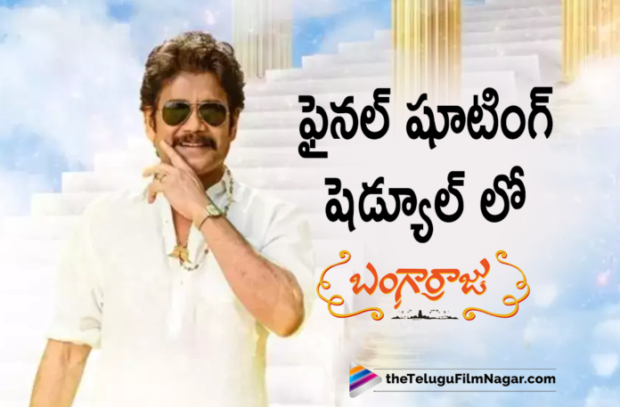 King Nagarjuna Starrer Bangarraju Movie Final Shooting Schedule Begins,Telugu Filmnagar,Latest Telugu Movies News,Telugu Film News 2021,Tollywood Movie Updates,Tollywood Latest News,Bangarraju,Bangarraju Movie,Bangarraju Telugu Movie,Bangarraju Movie Updates,Bangarraju Telugu Movie Latest News,Bangarraju Movie Shooting Updates,Bangarraju Telugu Movie Shooting Latest News Updates,Bangarraju Movie Final Shooting Schedule Started,Nagarjuna,Naga Chaitanya,#Bangarraju,#BangarrajuMovie