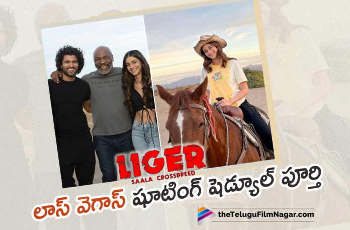 Liger Movie Team Successfully Wraps Up Las Vegas Shooting Schedule,Liger Movie Latest Shooting Update,Liger Movie Shooting Update,Ananya Panday,Puri Jagannadh Movies,Vijay Deverakonda Liger Movie,Vijay Deverakonda Liger,Liger Movie Update,Liger Latest Updates,Vijay Deverakonda Liger Shooting Update,Telugu Filmnagar,Latest Telugu Movies 2021,Liger,Liger Movie,Liger Telugu Movie,Liger Updates,Liger Movie Updates,Liger Telugu Movie Updates,Liger Movie Latest Updates,Liger Movie Latest News,Vijay Deverakonda's Liger,Vijay Deverakonda,Vijay Deverakonda New Movie,Vijay Deverakonda Movies,Vijay Deverakonda Latest News,Liger Update,Liger Release Date,Liger Movie Release Date,Mike Tyson,Liger Latest Shooting Update,Liger Shooting Update,Vijay Deverakonda Liger Movie Latest Shooting Update,Vijay Deverakonda Liger Latest Shooting Update,Vijay Deverakonda Liger Shooting Update,Vijay Deverakonda Liger Update,Liger Movie Shooting Details,Liger Las Vegas Schedule,Puri Jagannadh,Puri Jagannadh Liger,Liger Movie Las Vegas Schedule Update,Liger Movie New Update,Liger Movie Las Vegas Schedule,Liger Movie Las Vegas Shooting Wrapped,Liger Movie Team Wraps Up Las Vegas Shooting Schedule,Liger Las Vegas Shooting Schedule,Liger Wraps Up Its Shoot In Las Vegas,Ananya Panday Wraps Up Liger Las Vegas Shoot Schedule,Ananya Panday Wraps Up Las Vegas Shoot,Ananya Panday Wraps Up Liger Las Vegas Schedule,#Liger,#VijayDeverakonda