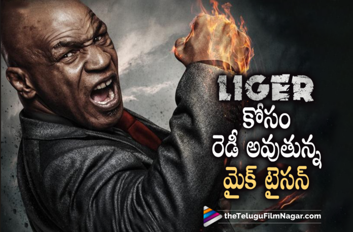 Mike Tyson Getting Ready for Liger Shoot Mike Tyson Getting Ready for Liger Shoot, Latest Telugu Movies 2021,Telugu Film News 2021, Latest Telugu Movie News, Telugu Filmnagar, Tollywood Movie Updates, Mike Tyson, Liger Shooting Updates, Video of Mike Tyson Getting Ready for Liger Shoot Vijay Deverakonda Liger Movie, Liger, Liger Movie, Liger Movie Latest News, Liger Movie Updates, Liger Telugu Movie, Vijay Deverakonda, Vijay Deverakonda Latest News, Vijay Deverakonda Next Movie Details