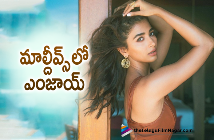 Radhe Shyam Actress Pooja Hegde Enjoying Her Vacation in Maldives Radhe Shyam Actress Pooja Hegde Enjoying Her Vacation in Maldives,Pooja Hegde,Pooja Hegde Movies,Pooja Hegde Latest News,Pooja Hegde New Movie,Pooja Hegde Latest Movie,Pooja Hegde Upcoming Movie,Pooja Hegde Next Movie,Pooja Hegde News,Pooja Hegde Instagram,Pooja Hegde Instagram Photos,Actress Pooja Hegde,Heroine Pooja Hegde,Pooja Hegde,Pooja Hegde Latest Photo,Pooja Hegde Latest Picture,Pooja Hegde Photo,Pooja Hegde Latest Photo Gallery,Pooja Hegde New Movie Updates,Pooja Hegde Latest Movie Updates,Pooja Hegde Photos,Pooja Hegde Pictures,Pooja Hegde Pics,Pooja Hegde Images,Pooja Hegde Latest Gallery,Pooja Hegde New Photos,Pooja Hegde Latest Photos,Telugu Filmnagar,Latest Telugu Movies News,Telugu Film News 2021,Tollywood Movie Updates,Latest Tollywood News,Pooja Hegde Instagram Photos,Pooja Hegde Photoshoot,Pooja Hegde Latest Photoshoot,Pooja Hegde New Look,Latest 2021 Telugu Movie Updates,Pooja Hegde Latest Images,Pooja Hegde Latest Photos,Pooja Hegde Latest Instagram Photo,Pooja Hegde Latest Pictures,Radhe Shyam,Radhe Shyam Movie,Acharya,Beast,Pooja Hegde’s Vacation In Maldives,Pooja Hegde Vacation,Pooja Hegde Maldives Vacation,Pooja Hegde Maldives Vacation Photos,Pooja Hedge's Maldives Vacation,Pooja Hegde Enjoying Her Vacation In Maldives,Pooja Hegde's Photoshoot In Maldives,Actress Pooja Hegde Vacation,Pooja Hegde Maldives Trip,Pooja Hegde Maldives Trip Pictures,Pooja Hegde Maldives Trip Photos,#PoojaHegde