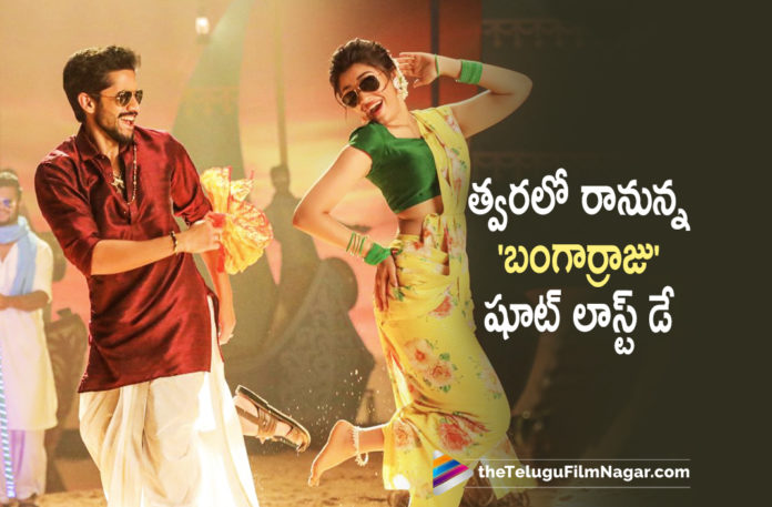 Bangarraju Movie To Be Out In Theaters Soon,Latest 2021 Telugu Movie Updates,Telugu Filmnagar,Latest Telugu Movie 2021,Nagarjuna,Akkineni Nagarjuna,Nagarjuna Movies,Nagarjuna New Movie,Nagarjuna Latest Movie,Nagarjuna Upcoming Movie,Nagarjuna Bangarraju,Nagarjuna Bangarraju Movie,Naga Chaitanya,Naga Chaitanya Movies,Naga Chaitanya New Movie,Naga Chaitanya Bangarraju,Nagarjuna Bangarraju Movie Update,Bangarraju Movie Updates,Bangarraju Latest Updates,Bangarraju,Bangarraju Movie,Bangarraju Telugu Movie,Bangarraju 2021 Latest Telugu Movie,Nagarjuna Bangarraju Movie Latest Update,Krithi Shetty,Ramya Krishna,Nagarjuna Bangar Raju Movie Latest Update,Nagarjuna Bangarraju Movie Latest Shooting Update,Nagarjuna Bangarraju Movie Shooting Latest Update,Nagarjuna Bangarraju Movie Shooting Update,Nagarjuna Bangarraju Latest Shooting Update,Bangarraju Movie Update,Bangarraju Movie Shooting Update,Bangarraju Movie Latest Shooting Update,Bangarraju Movie Latest Updates,Nagarjuna New Movie Update,Nagarjuna Latest Movie Updates,Nagarjuna Movie Updates,Bangarraju Updates,Bangarraju Update,Bangarraju Latest Update,Bangarraju Movie Shooting Latest Update,Bangarraju Movie Shooting,Bangarraju Shooting Wrapped Up,Bangarraju Movie Shooting Wrapped Up,Bangarraju Shooting Latest Update,Bangarraju Movie Latest Shooting Update,Bangarraju Songs,Bangarraju Movie Songs,Bangarraju First Look,Bangarraju Movie Song Shoot,Bangarraju Teaser,#Bangarraju,#BangarrajuComing
