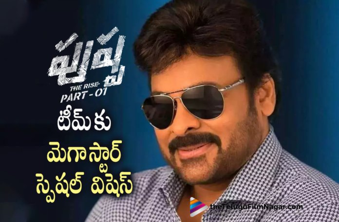 Megastar Chiranjeevi Best Wishes To Pushpa Movie Team,Pushpa Telugu Trailer,Pushpa Songs,Allu Arjun New Movie Update,Allu Arjun Latest Movie Update,Allu Arjun Upcoming Movie,Allu Arjun Pushpa The Rise,Pushpa Telugu Movie Updates,Pushpa Movie Latest Updates,Pushpa Movie Latest Update,Pushpa Telugu Movie Latest News,Pushpa Movie News,Pushpa Movie Latest News,Pushpa Release Date,Rashmika Mandanna Movies,Rashmika Mandanna New Movie,Sukumar Movies,Sukumar New Movie,Sukumar Latest Movie,Icon Star Allu Arjun,Director Sukumar,Allu Arjun Pushpa Movie Update,Pushpa Teaser,Telugu Filmnagar,Latest Telugu Movies 2021,Pushpa Trailer,Pushpa Movie Trailer,Pushpa Movie Songs,DSP,Allu Arjun New Movie,Sukumar,Allu Arjun,Allu Arjun Movies,Pushpa Raj,Pushpa,Pushpa Movie,Pushpa Telugu Movie,Pushpa Updates,Pushpa Movie Updates,Allu Arjun Pushpa,Allu Arjun Pushpa Movie,Rashmika Mandanna,Pushpa Movie Update,Pushpa Latest Update,Thaggedhe Le,Pushpa The Rise Movie Updates,Allu Arjun New Movie Pushpa,Pushpa Part 1,Megastar Chiranjeevi,Megastar Chiranjeevi Best Wishes To Pushpa Team,Chiranjeevi Best Wishes To Pushpa Movie Team,Chiranjeevi Best Wishes To Pushpa Team,Chiranjeevi Wishes Allu Arjun's Pushpa Team Good Luck,Chiranjeevi Wishes Allu Arjun's Pushpa Team Good Luck,Megastar Chiranjeevi Wishes Good Luck To Pushpa Unit,Chiranjeevi Wishes Good Luck To Team Pushpa,Chiranjeevi,#MegastarChiranjeevi,#PushpaTheRiseOnDec17,#PushpaTheRise