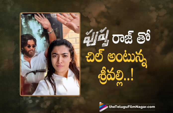 Rashmika Mandanna Poses With Allu Arjun Aka Pushpa Raj In A Quirky Way, Latest Telugu Movies 2021,Telugu Film News 2021, Latest Telugu Movie News, Telugu Filmnagar, Tollywood Movie Updates, Rashmika Mandanna Poses With Allu Arjun, Allu Arjun Aka Pushpa Raj, Rashmika Mandanna, Allu Arjun, Rashmika Mandanna chills with Allu Arjun, Allu Arjun aka Pushpa Raj's signature pose, Rashmika sharing interesting photos, Allu Arjun Pushpa, Pushpa Movie Updates, Pushpa Telugu Movie