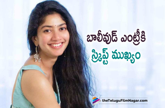 Sai Pallavi Opens Up About Bollywood Entry,Telugu Filmnagar,Latest Telugu Movies News,Telugu Film News 2021,Tollywood Movie Updates,Latest Tollywood Updates,Latest 2021 Telugu Movie Updates,Sai Pallavi,Actress Sai Pallavi,Heroine Sai Pallavi,Sai Pallavi Latest News,Sai Pallavi Movie Updates,Sai Pallavi New Movie,Sai Pallavi Latest Movie,Sai Pallavi Upcoming Projects,Sai Pallavi Next Projects,Sai Pallavi Next Movie,Sai Pallavi Upcoming Films,Sai Pallavi New Movie Details,Sai Pallavi Upcoming Movie Details,Sai Pallavi Next Project News,Sai Pallavi Latest Movie Updates,Sai Pallavi New Movie Updates,Sai Pallavi Latest Film Updates,Sai Pallavi Upcoming Movie Updates,Sai Pallavi Movie,Sai Pallavi Movie News,Sai Pallavi New Movies,Sai Pallavi Next Movies,Sai Pallavi New Movie Details On Cards,Sai Pallavi Latest Movie Details On Cards,Sai Pallavi Upcoming Movie Details On Cards,Sai Pallavi Next Project Details On Cards,Love Story,Love Story Movie,Sai Pallavi Love Story Movie,Sai Pallavi New Movie Updates,Sai Pallavi Latest Interview,Sai Pallavi Interview,Love Story Movie Updates,Sai Pallavi Latest Movie Details,Sai Pallavi New Movie Details,Sai Pallavi Upcoming Movies,Virata Parvam,Shyam Singha Roy,Shyam Singha Roy Movie,Actress Sai Pallavi Opens Up About Bollywood Entry,Heroine Sai Pallavi Opens Up About Bollywood Entry,Sai Pallavi About Bollywood Entry,Sai Pallavi About Bollywood Entry Movie,Sai Pallavi About Bollywood Movies,Sai Pallavi Bollywood Entry,#SaiPallavi