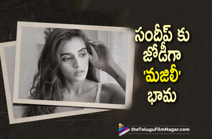 Sundeep Kishan To Pair Up With Majili Movie Heroine,Telugu Filmnagar,Latest Telugu Movies 2021,Telugu Film News 2021,Tollywood Movie Updates,Latest 2021 Telugu Movie Updates,Latest 2021 Telugu Movie,Sundeep Kishan,Sundeep Kishan Movies,Sundeep Kishan New Movie,Sundeep Kishan Latest Movie,Sundeep Kishan Movie,Sundeep Kishan Latest Film Updates,Sundeep Kishan New Movie Update,Sundeep Kishan Latest Movie Update,Sundeep Kishan Upcoming Movie,Sundeep Kishan Next Movie,Sundeep Kishan Next Film,Sundeep Kishan Next Projects,Sundeep Kishan Upcoming Project,Sundeep Kishan New Project,Sundeep Kishan Latest News,Sundeep Kishan Movie Updates,Sundeep Kishan Super Natural Thriller Movie,Sundeep Kishan Super Natural Movie,Sundeep Kishan Latest Movie News,Divyansha Kaushik Roped In To Play The Female Lead In Sundeep Kishan's Michael,Divyansha Kaushik Bags Michael,Divyansha Kaushik Roped In For Michael,Divyansha Kaushik In Sundeep Kishan's Michael,Divyansha Kaushik To Play The Female Lead In Sundeep Kishan's Michael,Divyansha Kaushik In Michael,Divyansha Kaushik In Michael Movie,Divyansha Kaushik On Board For Sundeep Kishan’s Next,Divyansha Kaushik On Board For Michael,Divyansha Kaushik,Michael,Michael Movie,Michael Telugu Movie,Michael Movie Heroine,Michael Movie Updates,Divyansha Kaushik Movies,Divyansha Kaushik New Movie,Divyansha Kaushik Latest Movie,#SundeepKishan,#Michael,#DivyanshaKaushik