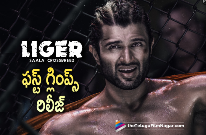 Vijay Deverakonda Liger First Glimpse Out Now Vijay Deverakonda Liger First Glimpse Out Now, Latest Telugu Movies 2021,Telugu Film News 2021, Latest Telugu Movie News, Telugu Filmnagar, Tollywood Movie Updates, New Telugu Movies 2021,#LigerGlimpse, #LigerMovie, Ananya Pandey, Liger, Liger Glimpse, Liger Movie, Liger Movie Glimpse, Liger Movie Updates, Liger Telugu Movie, Liger Telugu Movie Glimpse, Liger Telugu Movie Latest News, Mike Tyson, New Telugu Movie Glimpse, Puri Jgannadh, Rowdy Boy, Telugu Film News 2021, Telugu Filmnagar, Tollywood Movie Updates, Vijay Deverakonda, Vijay Deverakonda Latest Movie Glimpse, Vijay Deverakonda Liger Movie Glimpse, Vijay Deverakonda New Movie Glimpse