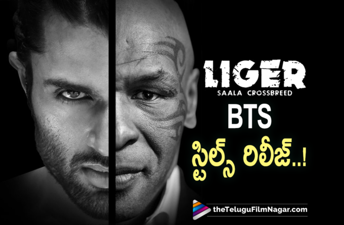 Vijay Deverakonda Liger Movie BTS Clicks, Latest Telugu Movies 2021,Telugu Film News 2021, Latest Telugu Movie News, Telugu Filmnagar, Tollywood Movie Updates, New Telugu Movies 2021, Liger, Liger Movie, Liger Movie Photos, Liger Movie Updates, Liger Telugu Movie, Liger Telugu Movie Latest News, Liger Telugu Movie Stills, Telugu Film News 2021, Telugu Filmnagar, Tollywood Movie Updates, Vijay Deverakonda Latest Images, Vijay Deverakonda Latest Pics From Liger Telugu Movie, Vijay Deverakonda Liger Movie Latest Stills, Vijay Deverakonda New Stills From Liger Movie, Vijay Deverakonda Photos From Liger Movie