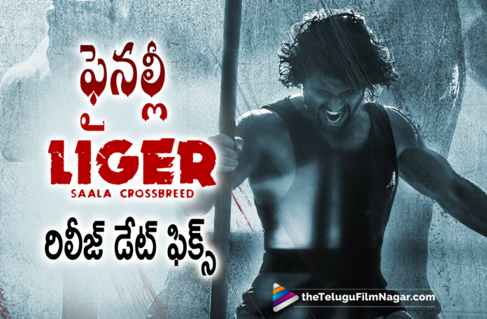 Vijay Deverakonda Liger Movie Release Date Locked,Liger Movie Release Date Update,Liger Release Date Update,Ananya Panday,Puri Jagannadh Movies,Vijay Deverakonda Liger Movie,Vijay Deverakonda Liger,Liger Movie Update,Liger Latest Updates,Vijay Deverakonda Liger Release Date Update,Telugu Filmnagar,Latest Telugu Movies 2021,Liger,Liger Movie,Liger Telugu Movie,Liger Updates,Liger Movie Updates,Liger Telugu Movie Updates,Liger Movie Latest Updates,Liger Movie Latest News,Vijay Deverakonda's Liger,Vijay Deverakonda,Vijay Deverakonda New Movie,Vijay Deverakonda Movies,Vijay Deverakonda Latest News,Liger Update,Liger Release Date,Liger Movie Release Date,Mike Tyson,Vijay Deverakonda Liger Movie Release Date Update,Vijay Deverakonda Liger Update,Puri Jagannadh,Puri Jagannadh Liger,Liger Movie New Update,Liger Movie Release Date,Liger Release Date,Vijay Deverakonda Liger Movie Release Date,Vijay Deverakonda Liger Release Date,Liger Gets A Release Date,Liger Movie Release Date Locked,Liger Movie Official Release Date,Liger Glimpse,Liger Glimpse Update,Liger Glimpse Release Date,Liger Movie Glimpse,Liger On Aug 25th 2022,Liger Raleasing On Aug 25th 2022,Liger From Aug 25th 2022,Liger Release Date Announcement,Liger Release Date Out,Vijay Deverakonda’s Liger Release Date Out,Liger Gets Official Release Date,Liger Glimpse on Dec 31st,Liger Two updates,Liger Release on Aug 25th,#Liger,#VijayDeverakonda,#LigerOnAug25th2022